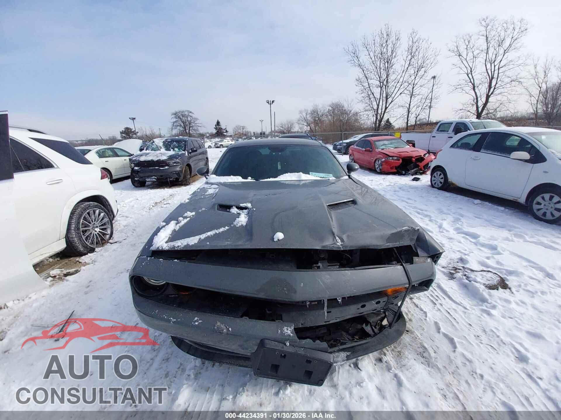 DODGE CHALLENGER 2019 - 2C3CDZGG1KH655523