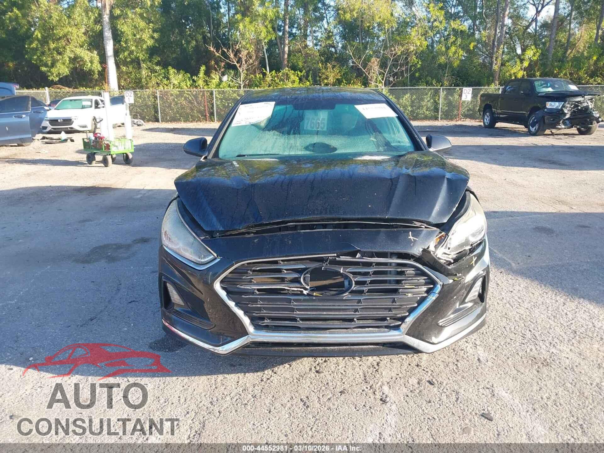 HYUNDAI SONATA 2019 - 5NPE24AF8KH756028