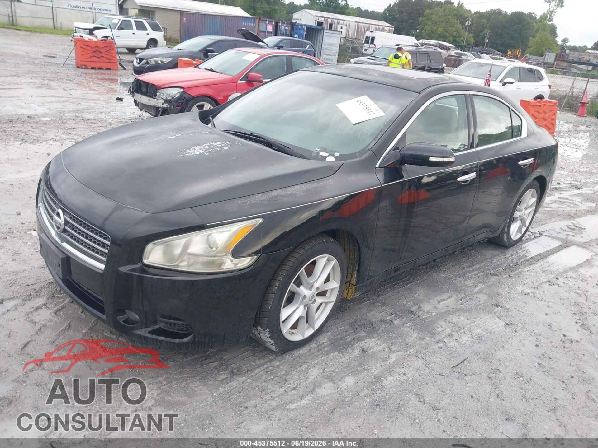 NISSAN MAXIMA 2009 - 1N4AA51E29C859410