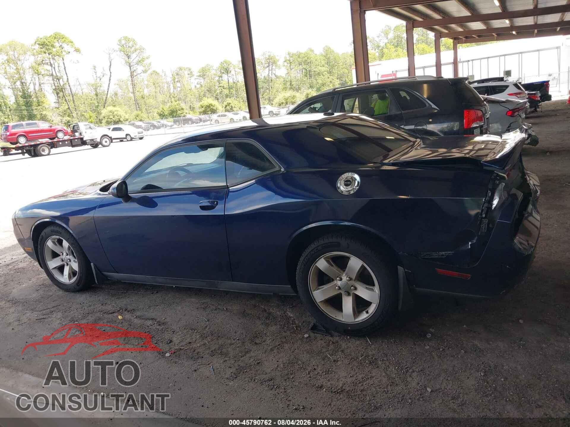 DODGE CHALLENGER 2013 - 2C3CDYAG3DH705313