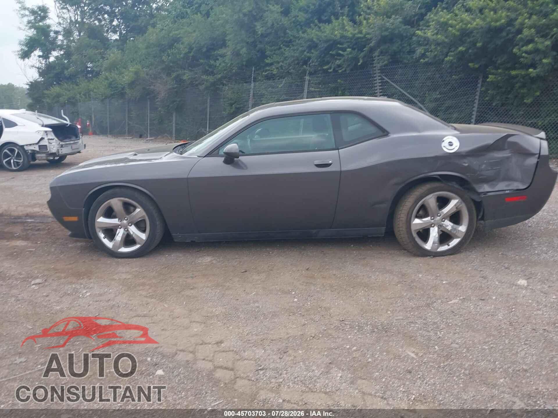 DODGE CHALLENGER 2013 - 2C3CDYAG4DH723819