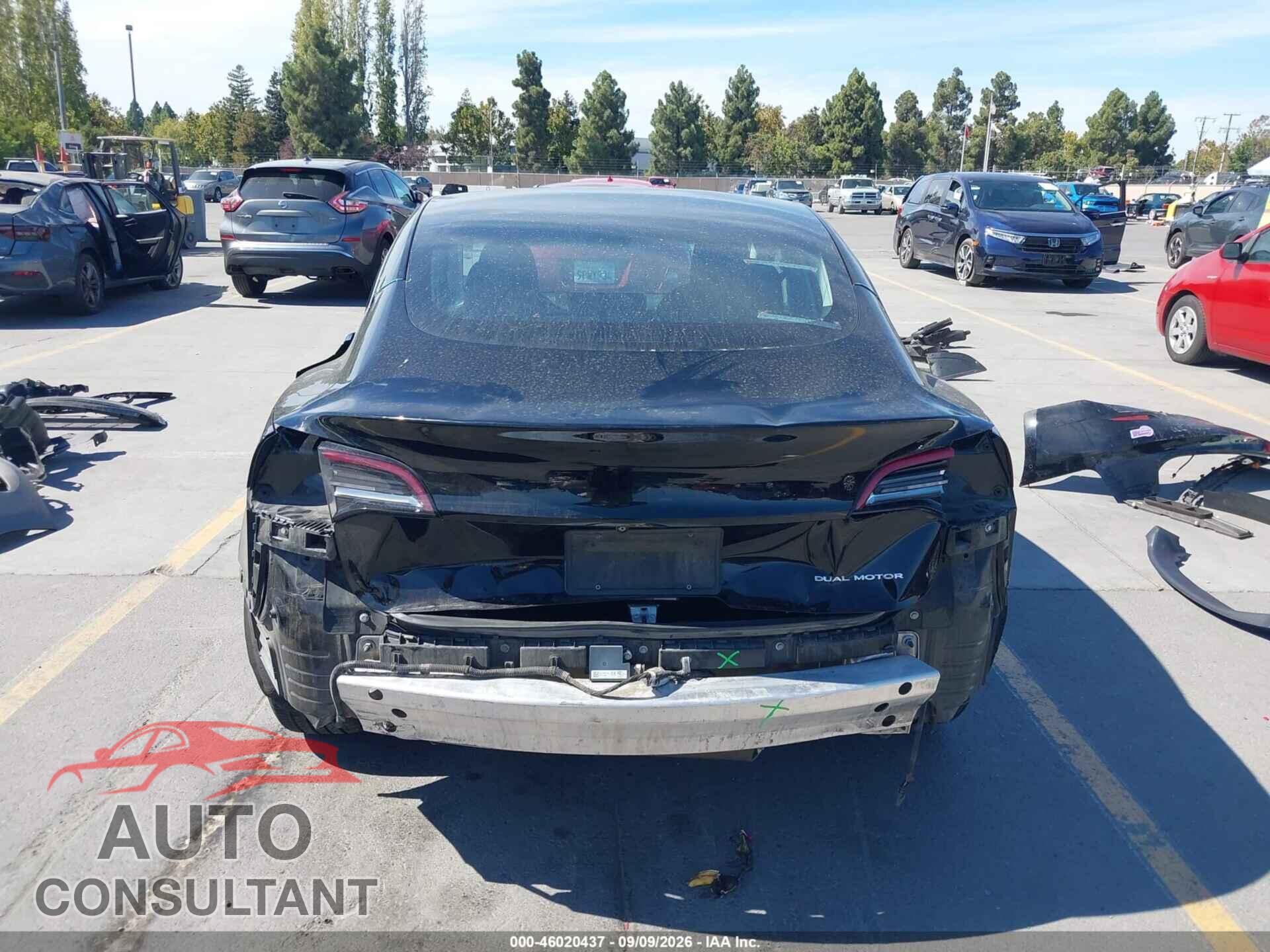 TESLA MODEL 3 2019 - 5YJ3E1EB3KF208716