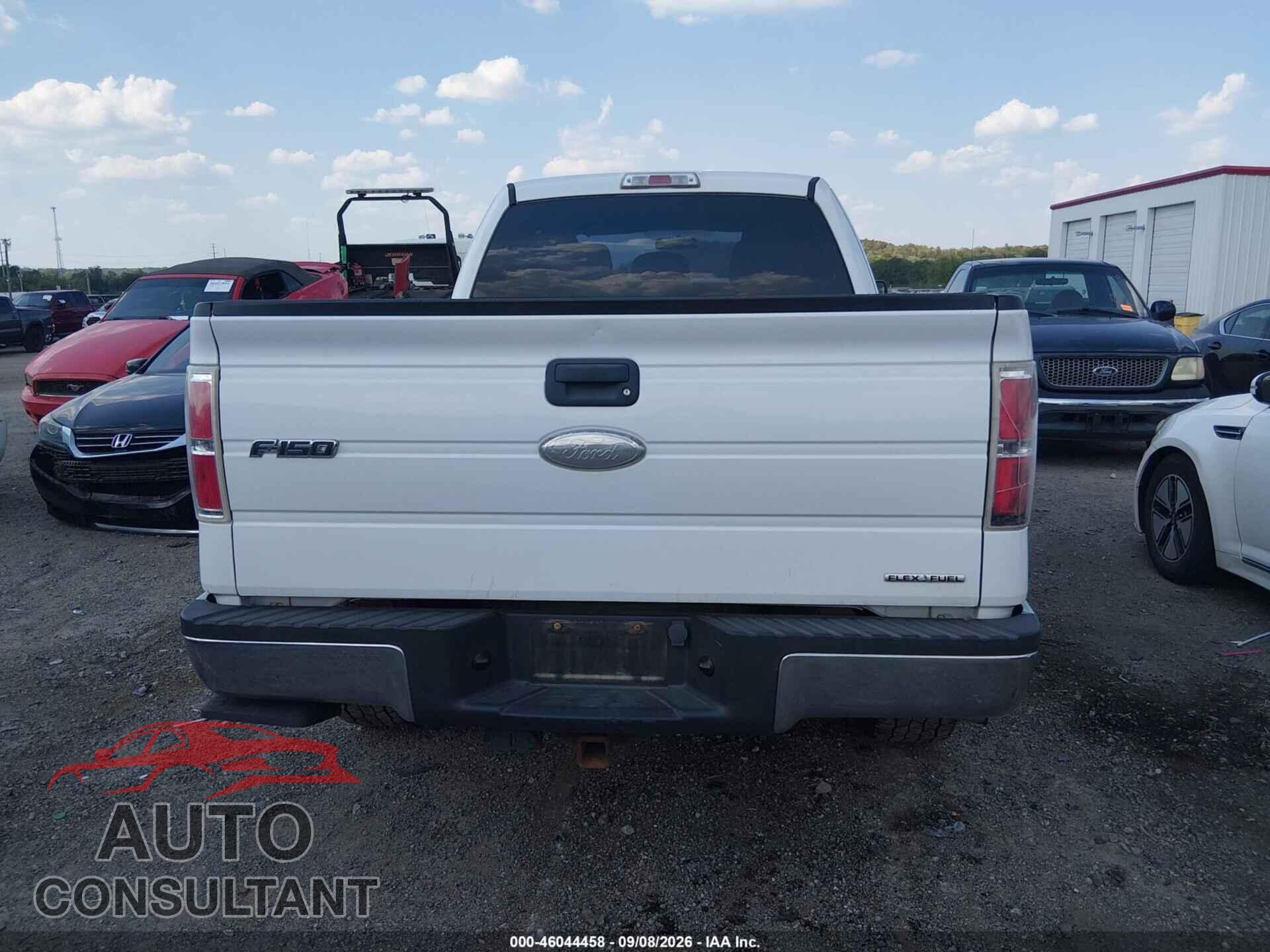 FORD F-150 2011 - 1FTFX1EFXBFB59634