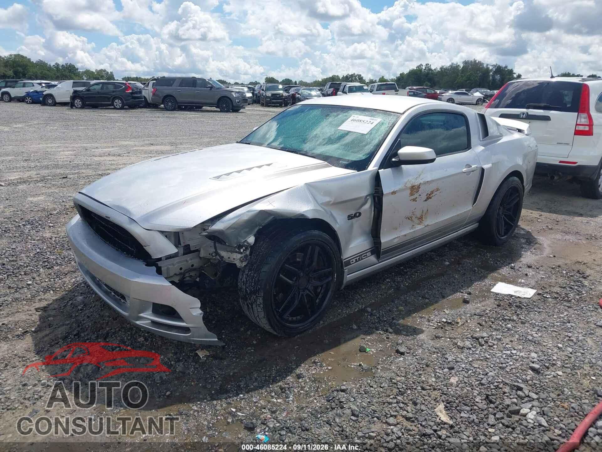 FORD MUSTANG 2014 - 1ZVBP8CF8E5282303
