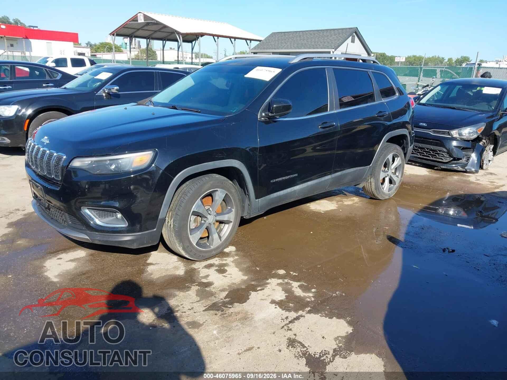 JEEP CHEROKEE 2019 - 1C4PJLDB5KD325280