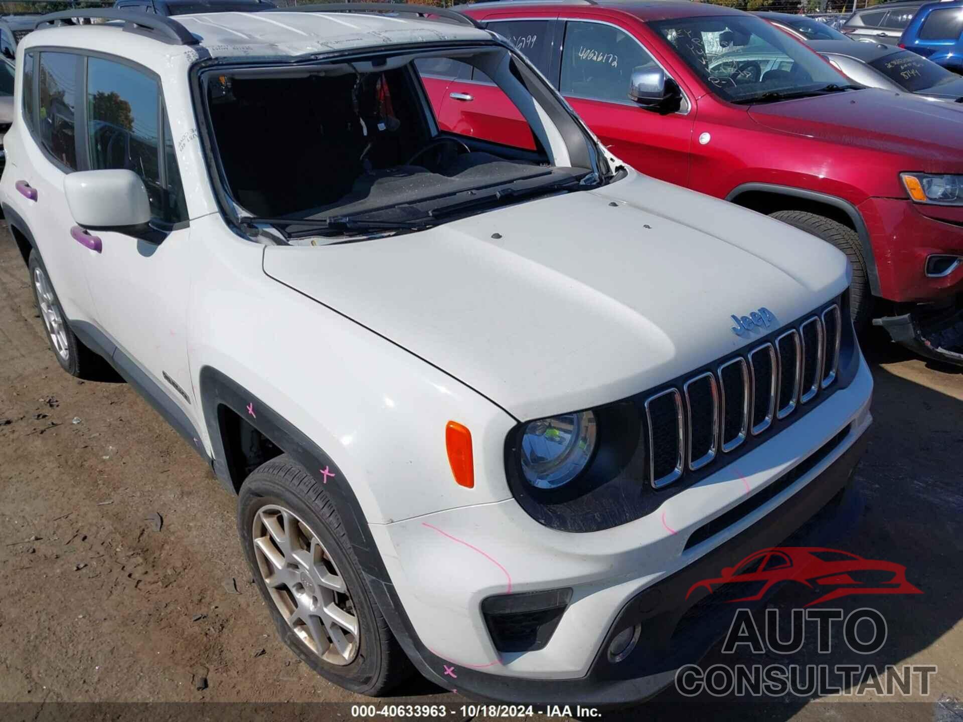 JEEP RENEGADE 2019 - ZACNJBBB3KPJ79318