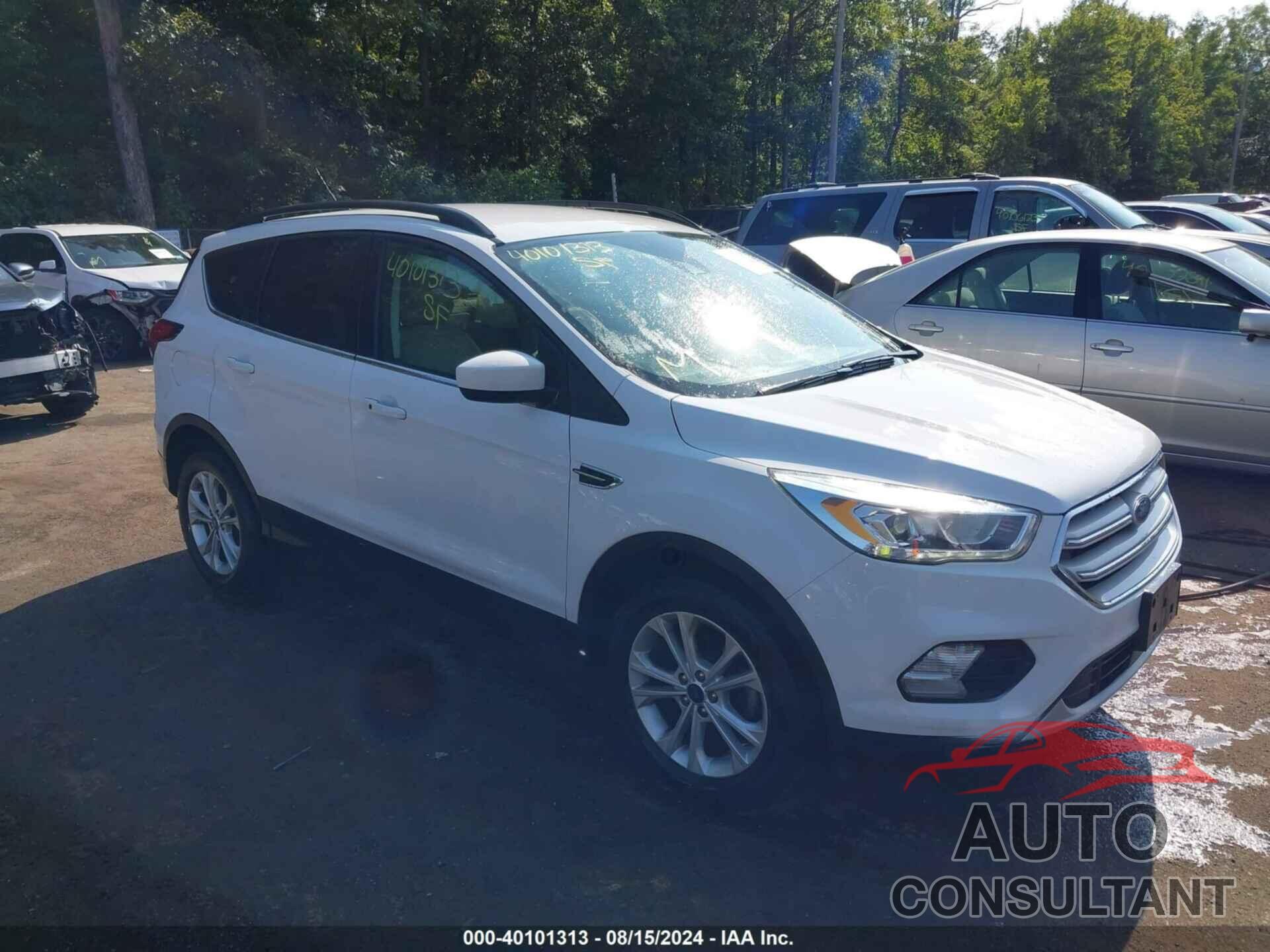 FORD ESCAPE 2019 - 1FMCU0HD4KUB95651