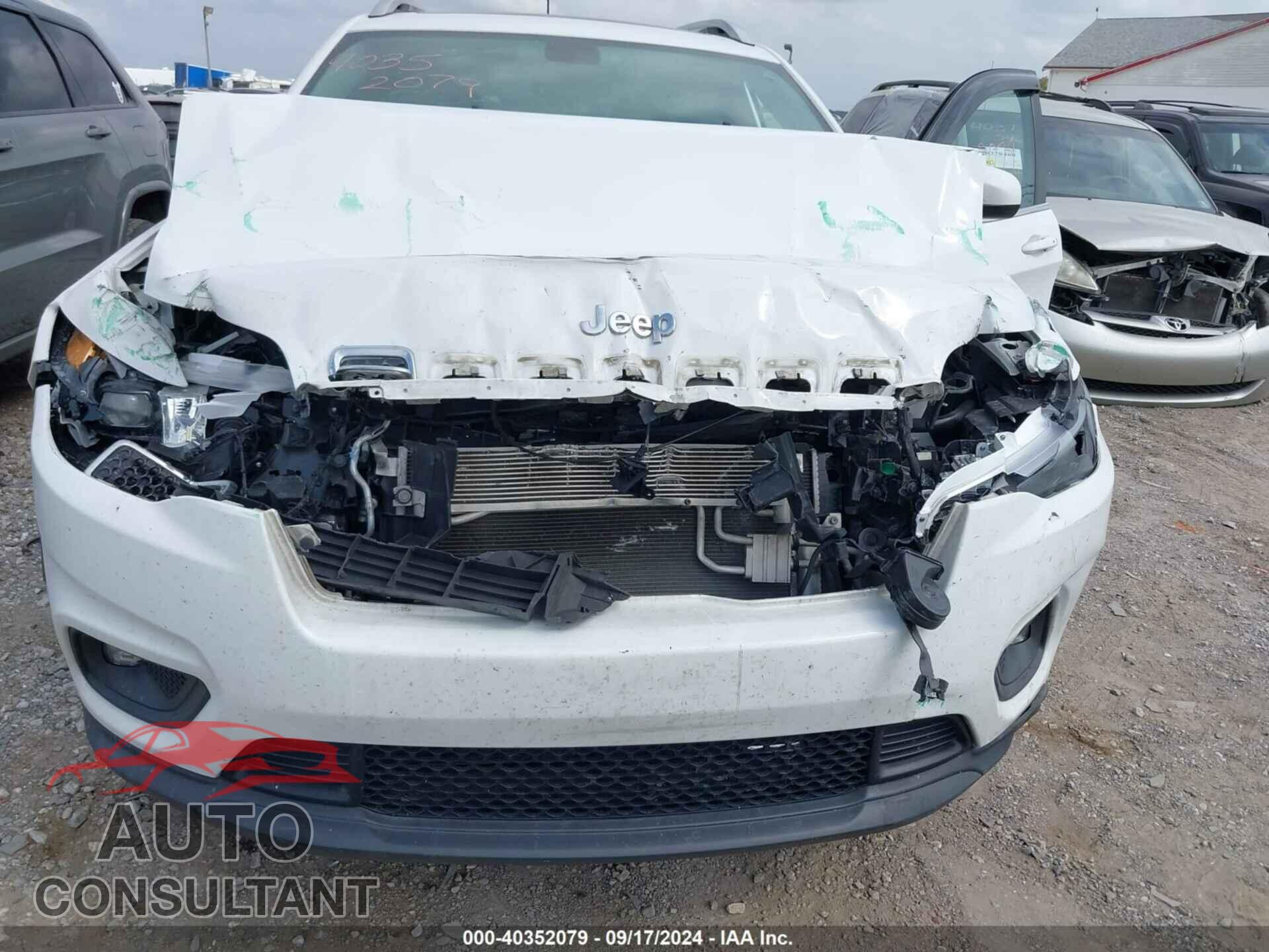 JEEP CHEROKEE 2019 - 1C4PJMLX4KD169655