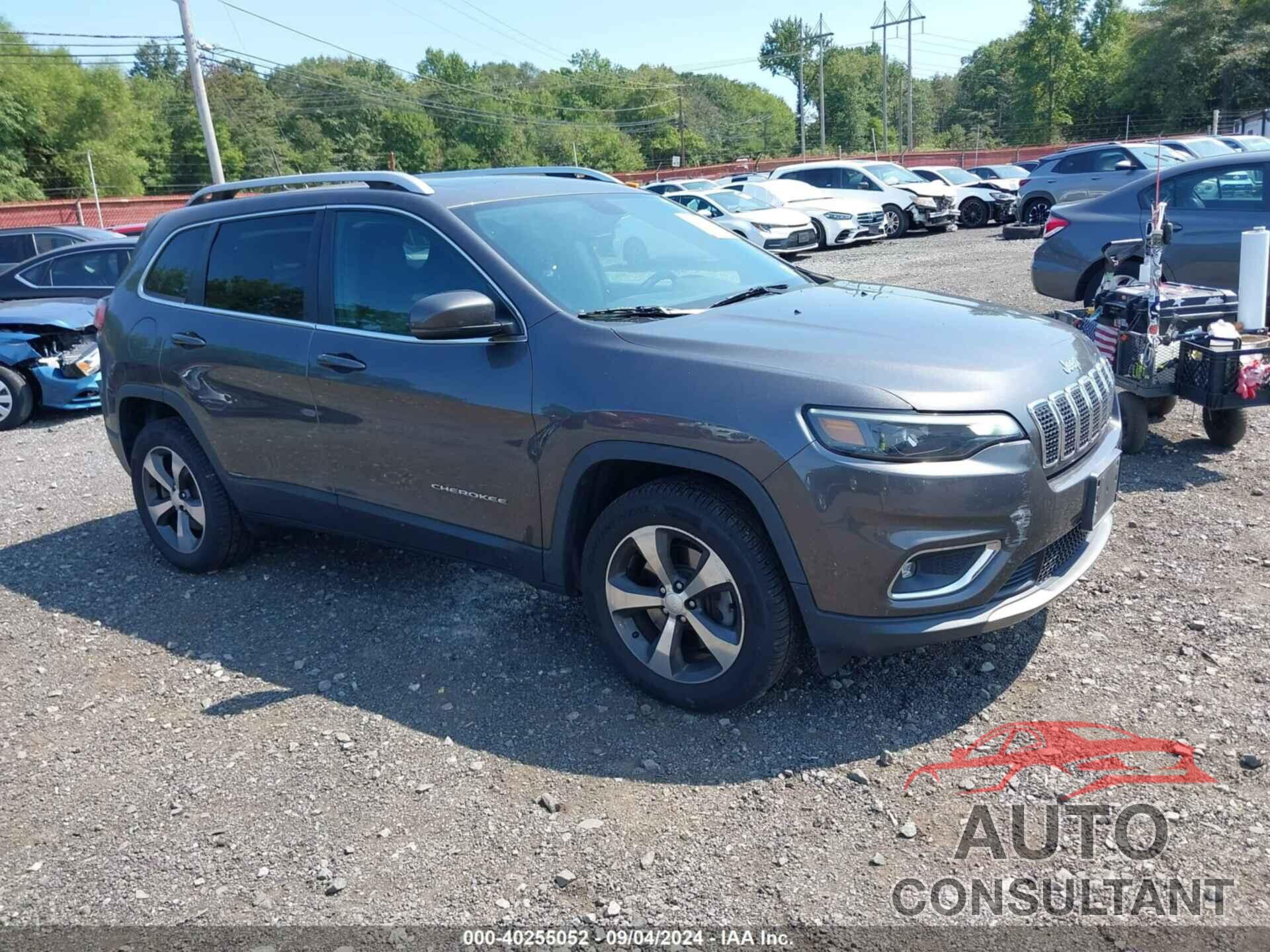 JEEP CHEROKEE 2019 - 1C4PJMDN5KD142350