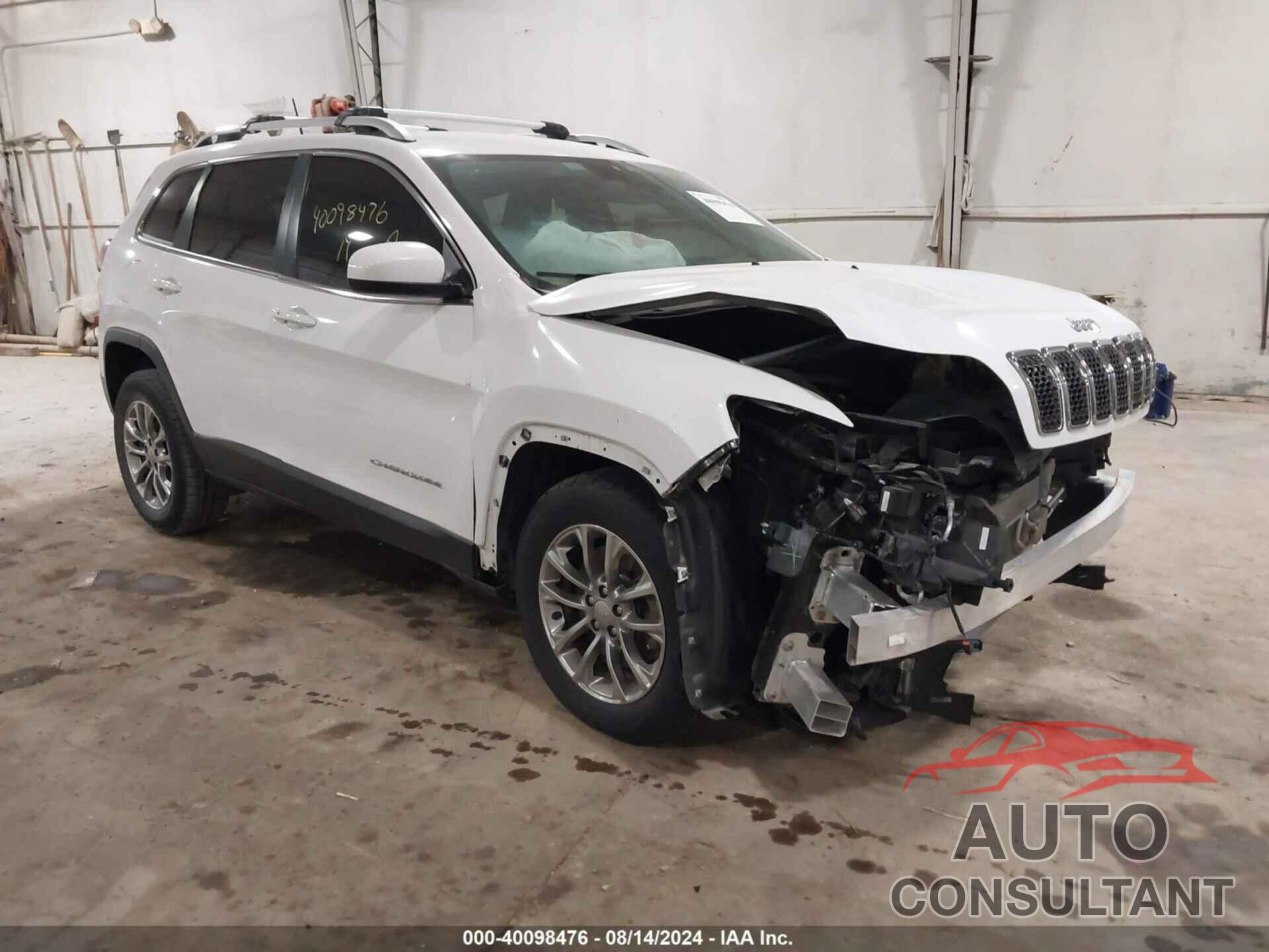 JEEP CHEROKEE 2019 - 1C4PJMLB0KD191124