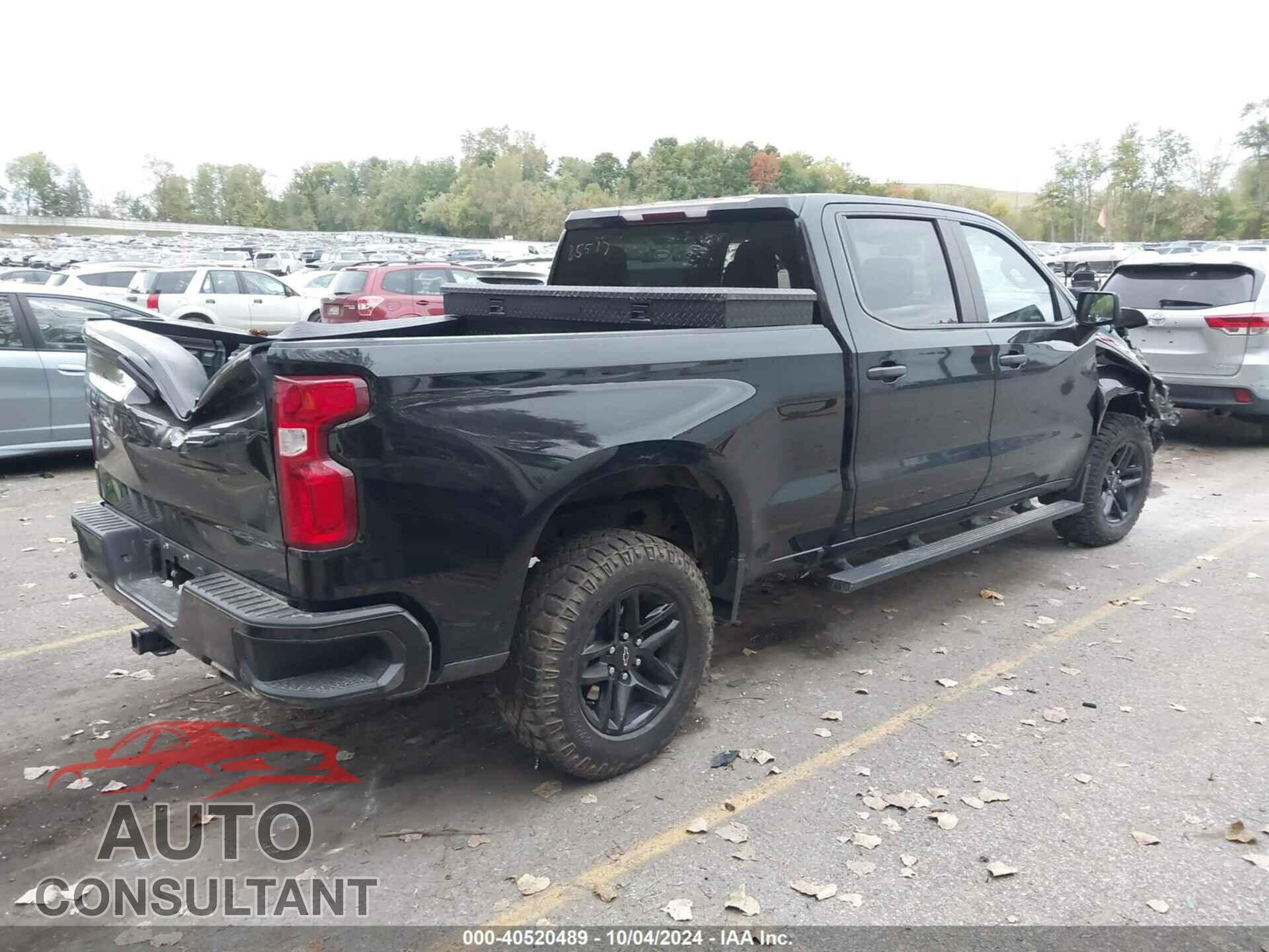 CHEVROLET SILVERADO 2020 - 1GCPYCEF8LZ185517
