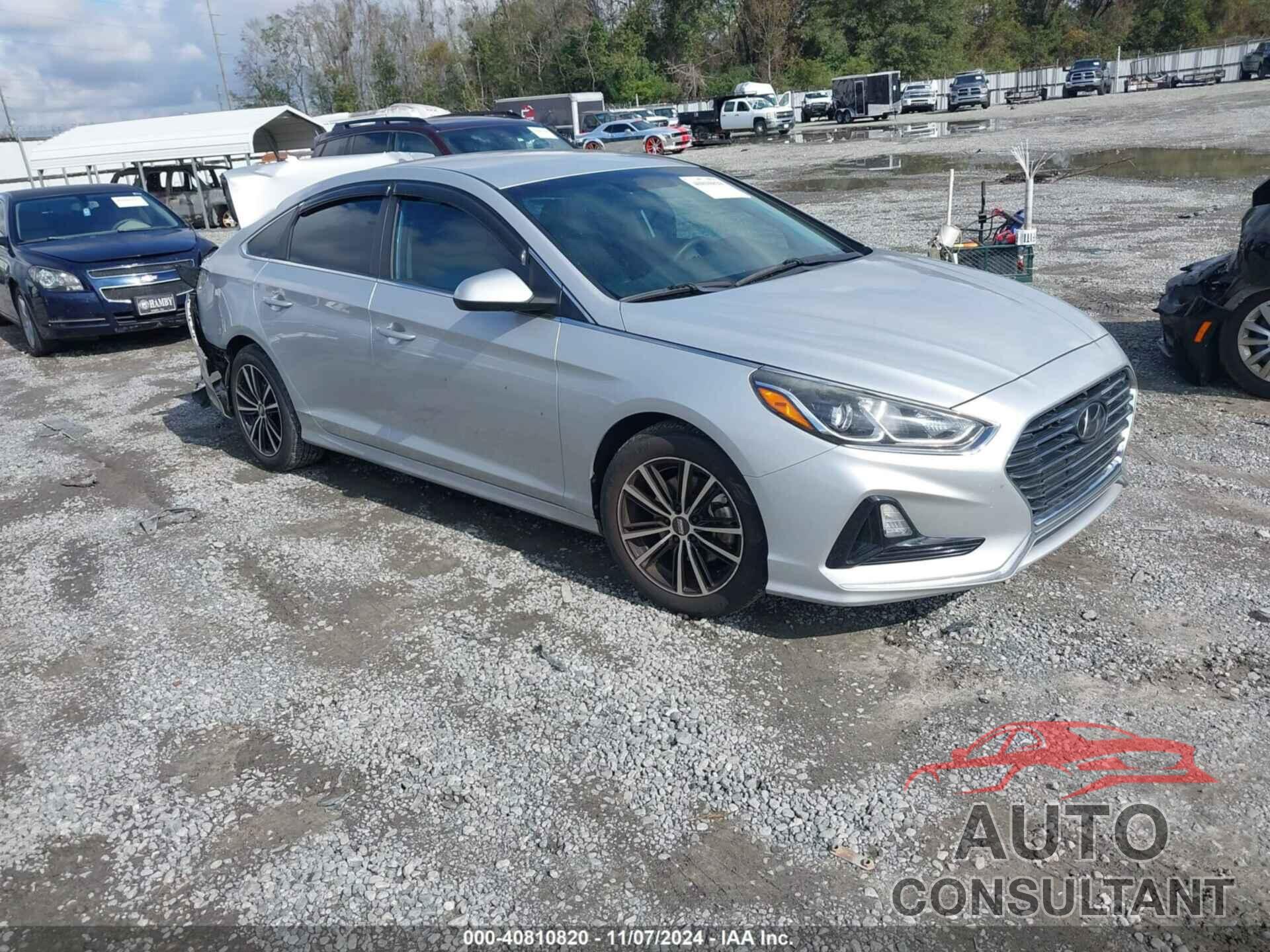 HYUNDAI SONATA 2019 - 5NPE24AF9KH765627