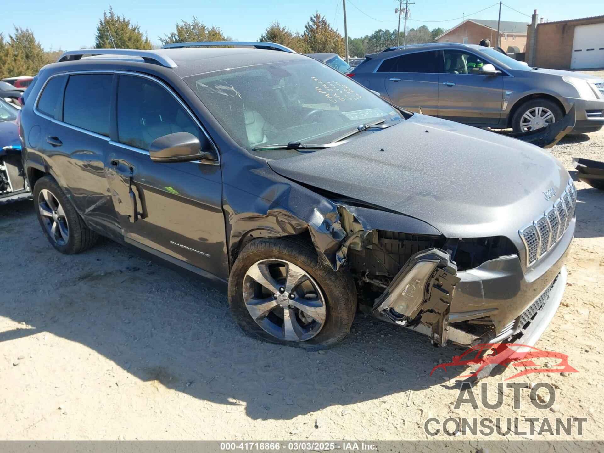 JEEP CHEROKEE 2019 - 1C4PJLDB1KD392751