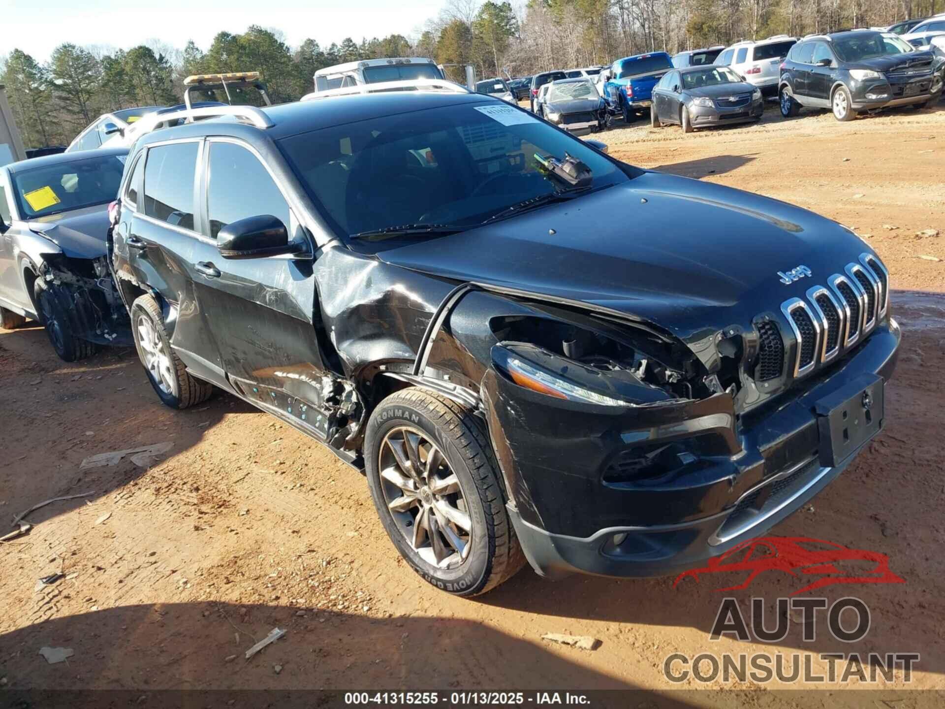 JEEP CHEROKEE 2016 - 1C4PJMDB8GW213686