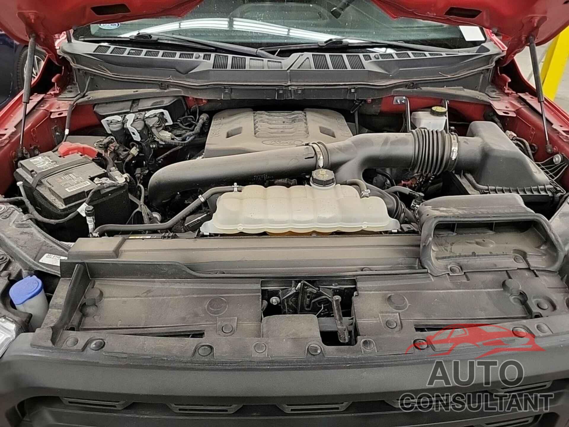 FORD F150 2021 - 1FTFW1E8XMKF07561
