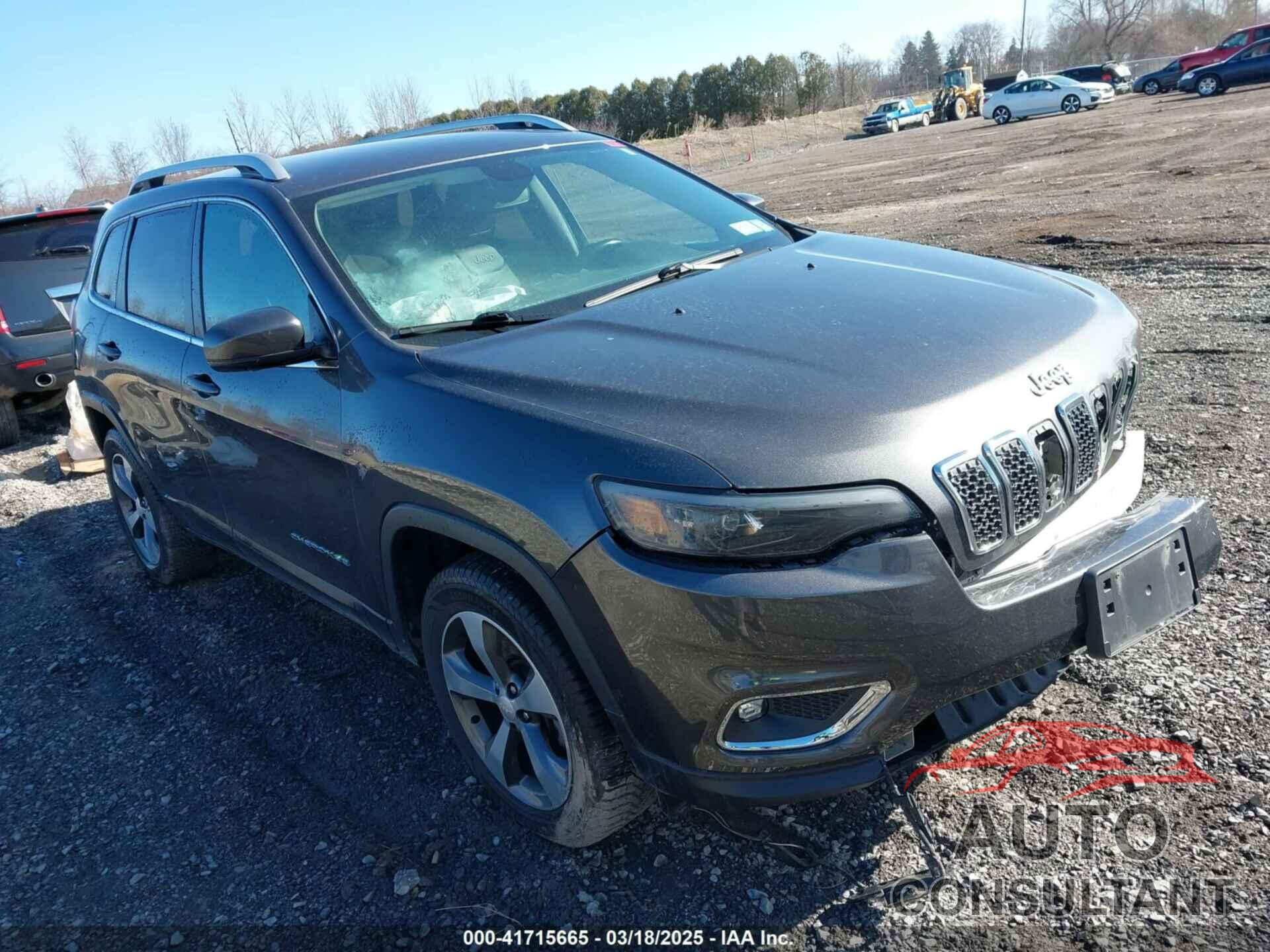 JEEP CHEROKEE 2019 - 1C4PJMDX0KD258170