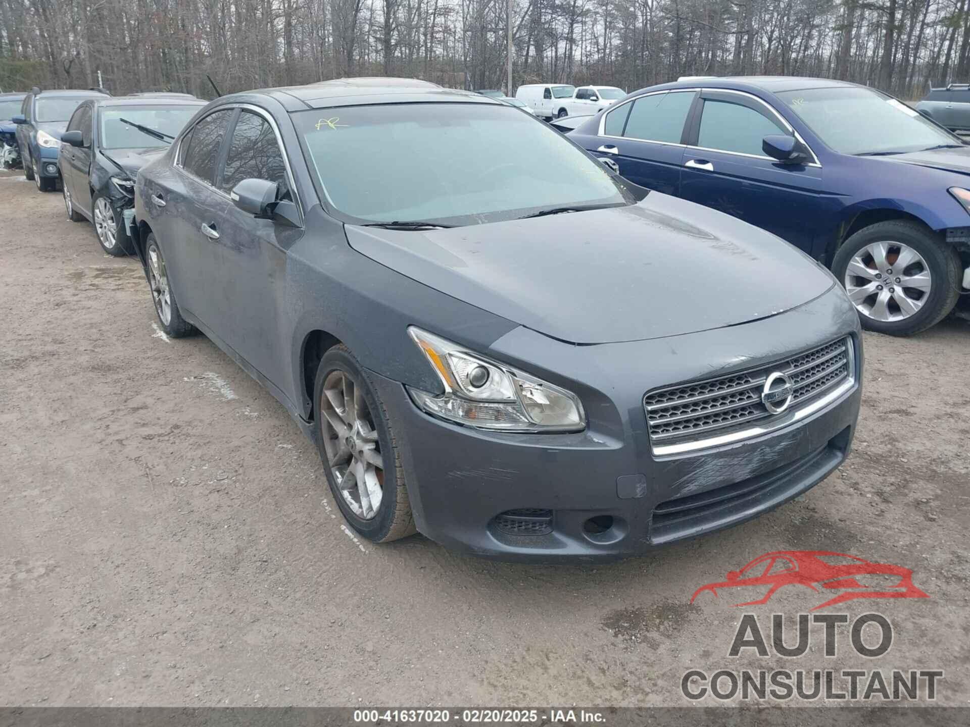 NISSAN MAXIMA 2009 - 1N4AA51E99C826310