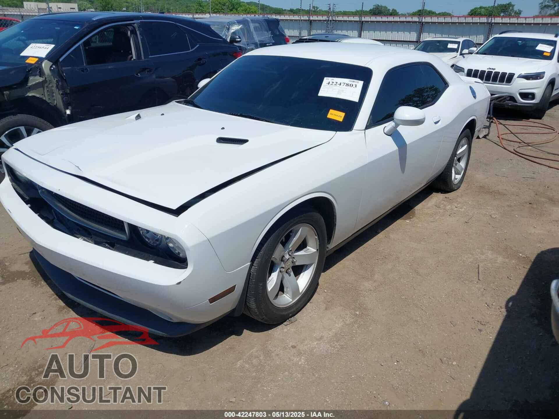DODGE CHALLENGER 2014 - 2C3CDYAG9EH213273