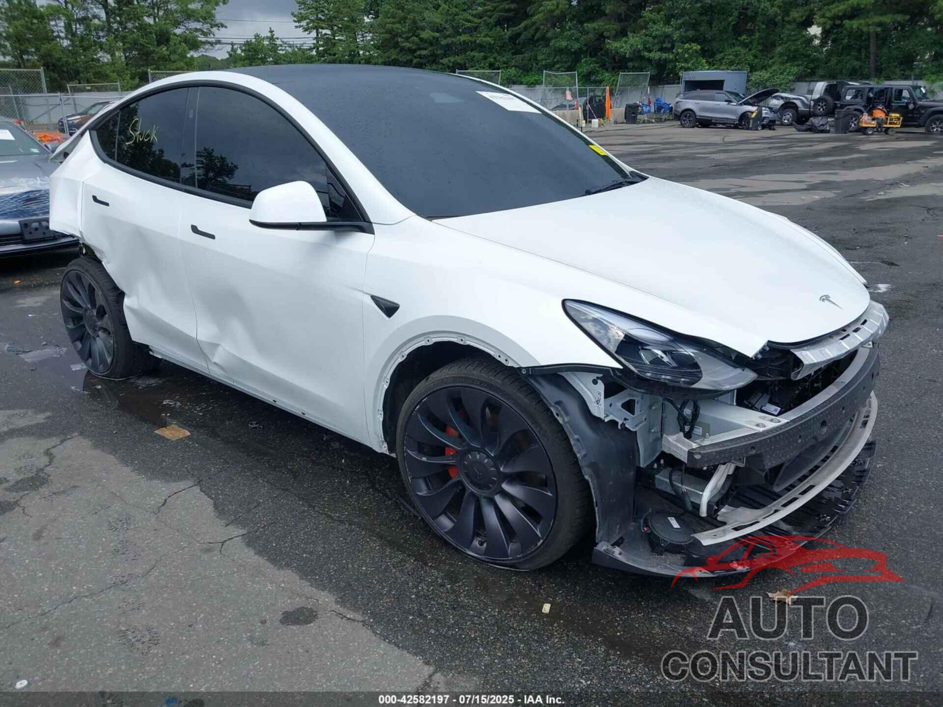 TESLA MODEL Y 2024 - 7SAYGDEF2RA319899