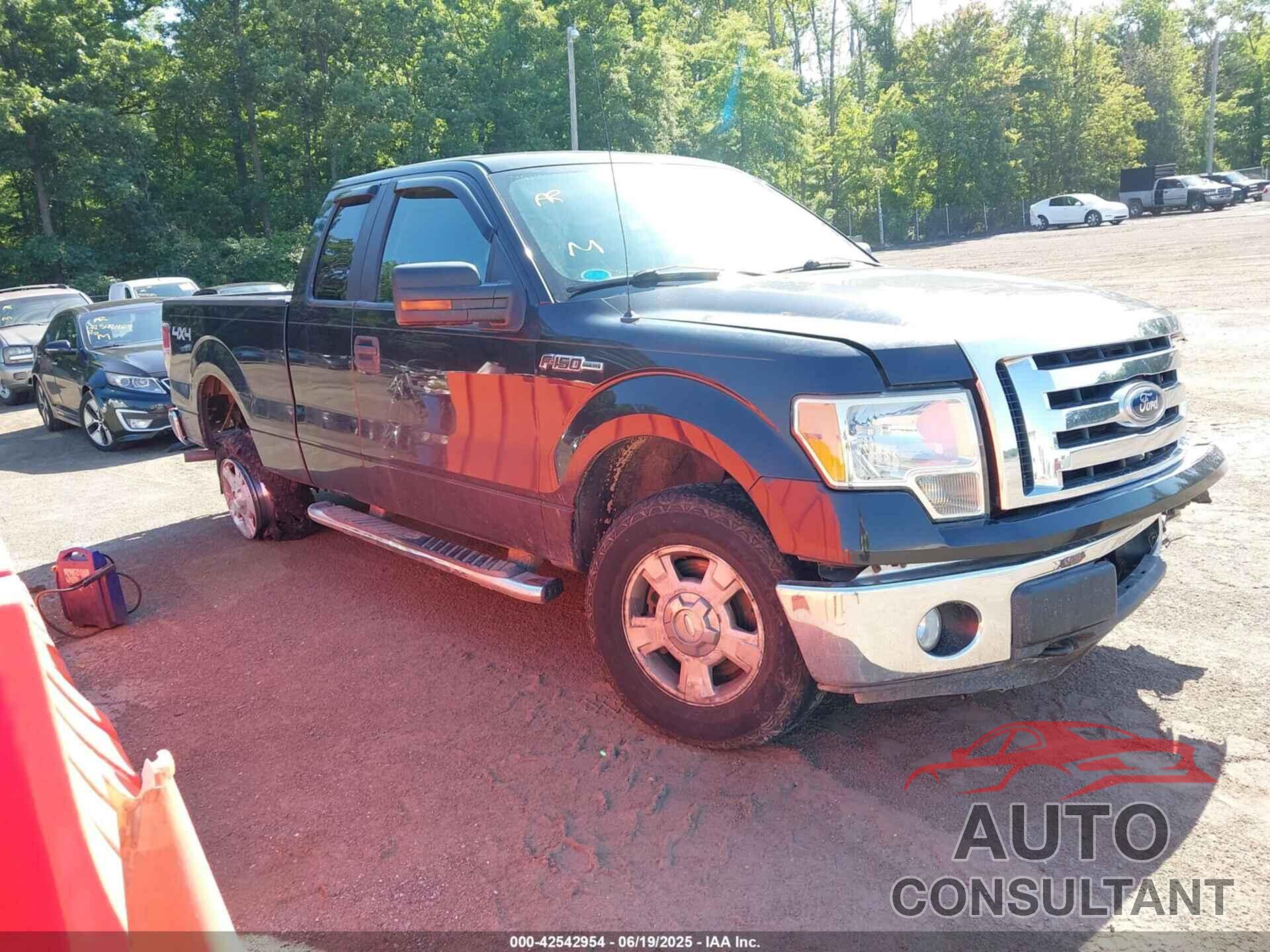 FORD F-150 2010 - 1FTFX1EV2AFC95925