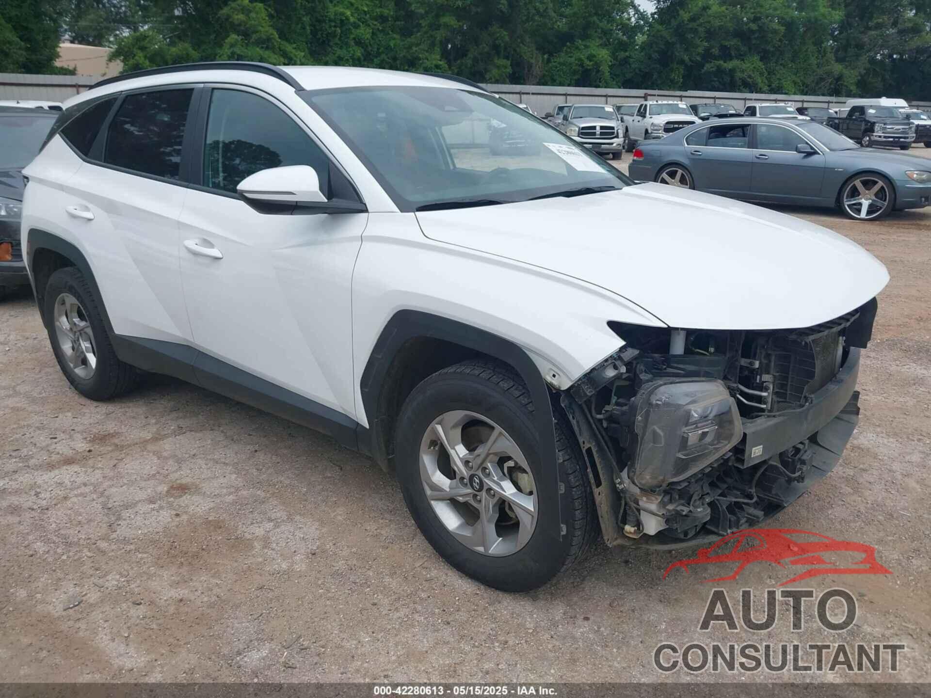 HYUNDAI TUCSON 2023 - 5NMJBCAE2PH275003