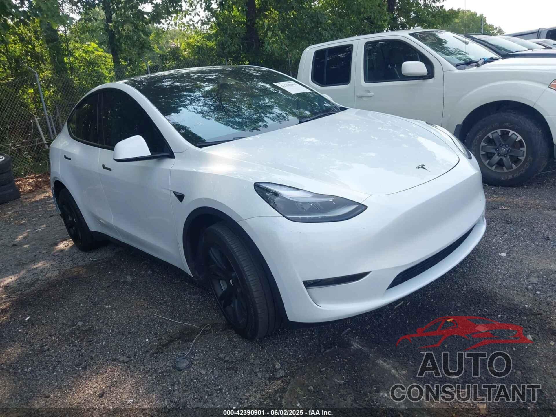TESLA MODEL Y 2024 - 7SAYGDEE5RA229542