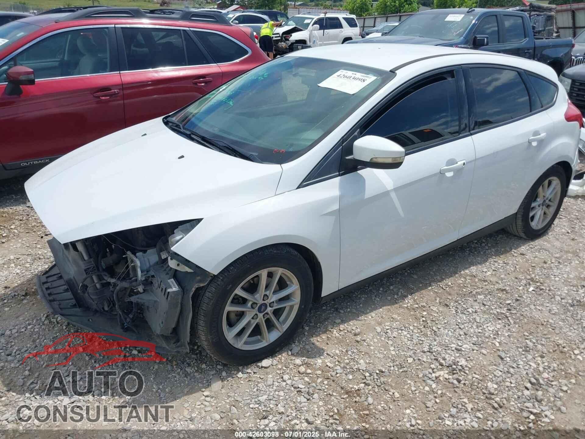 FORD FOCUS 2016 - 1FADP3K26GL290434