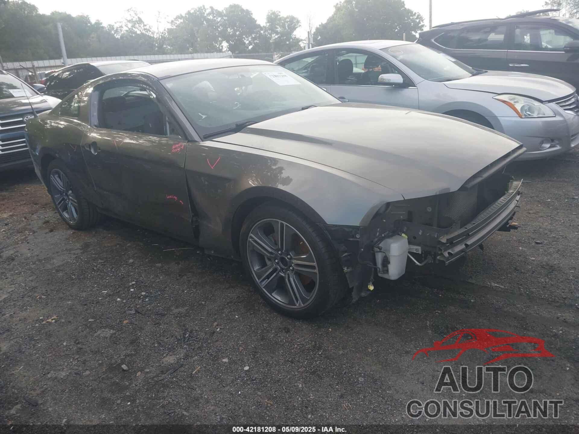 FORD MUSTANG 2013 - 1ZVBP8AM7D5279716