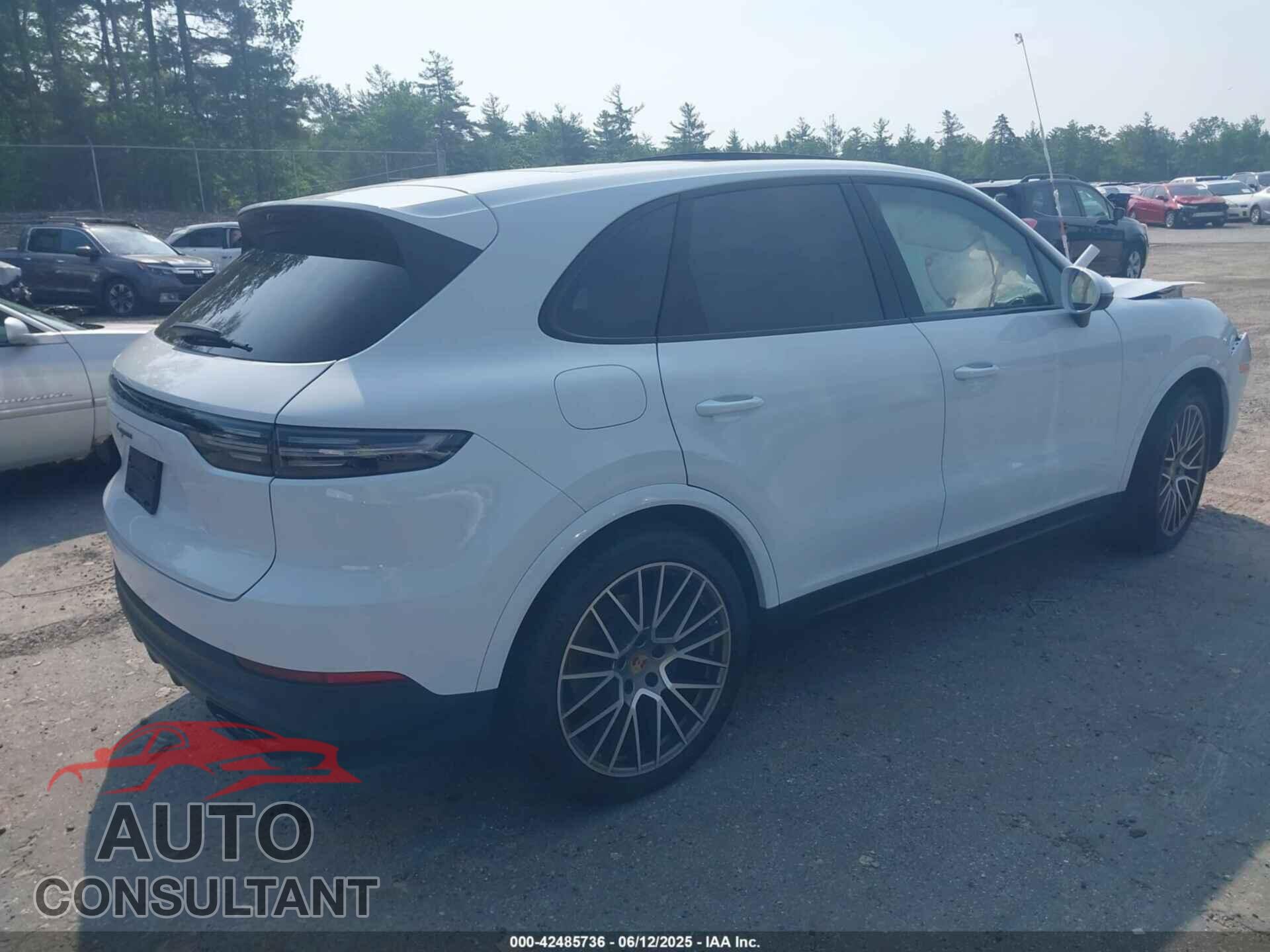 PORSCHE CAYENNE 2023 - WP1AA2AY8PDA01206