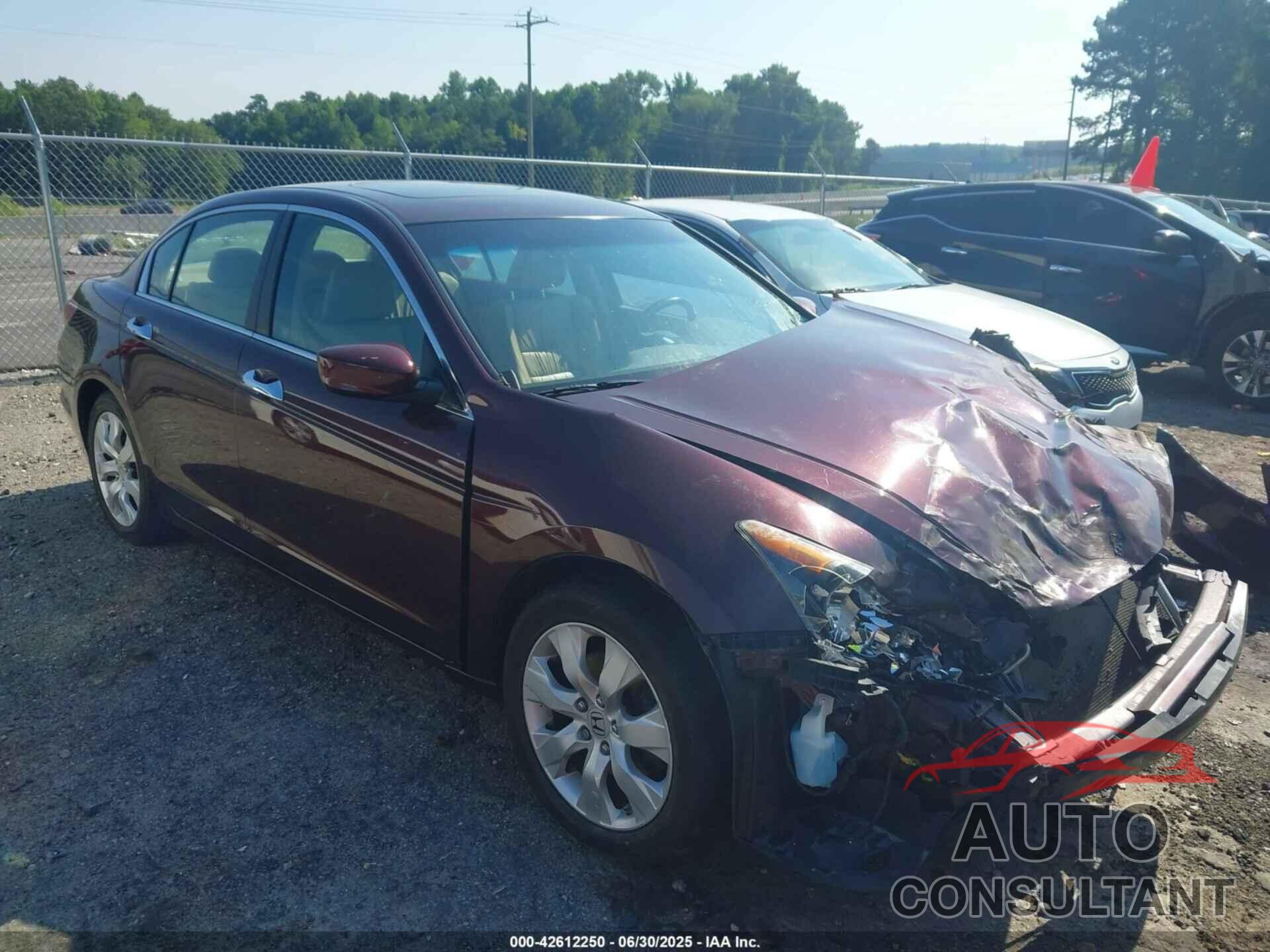 HONDA ACCORD 2010 - 5KBCP3F80AB015562