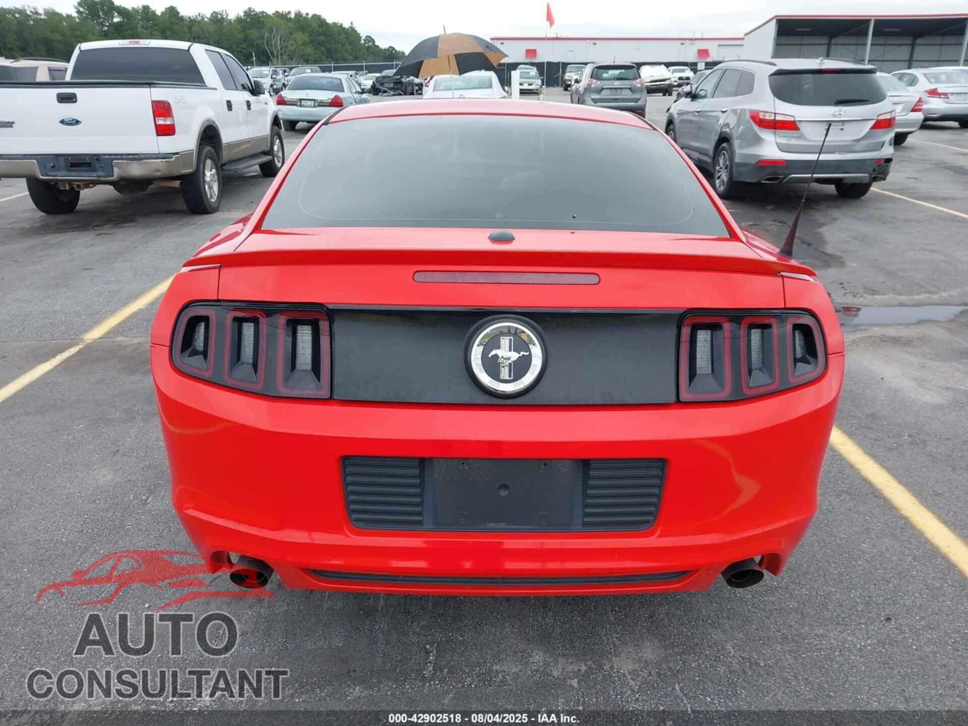 FORD MUSTANG 2014 - 1ZVBP8AM8E5270878