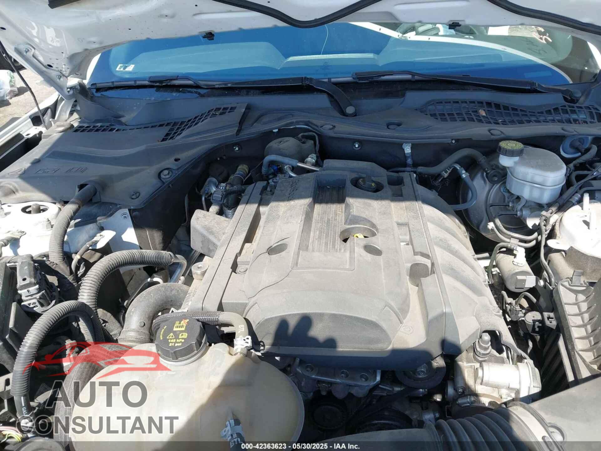 FORD MUSTANG 2019 - 1FA6P8TH3K5123485