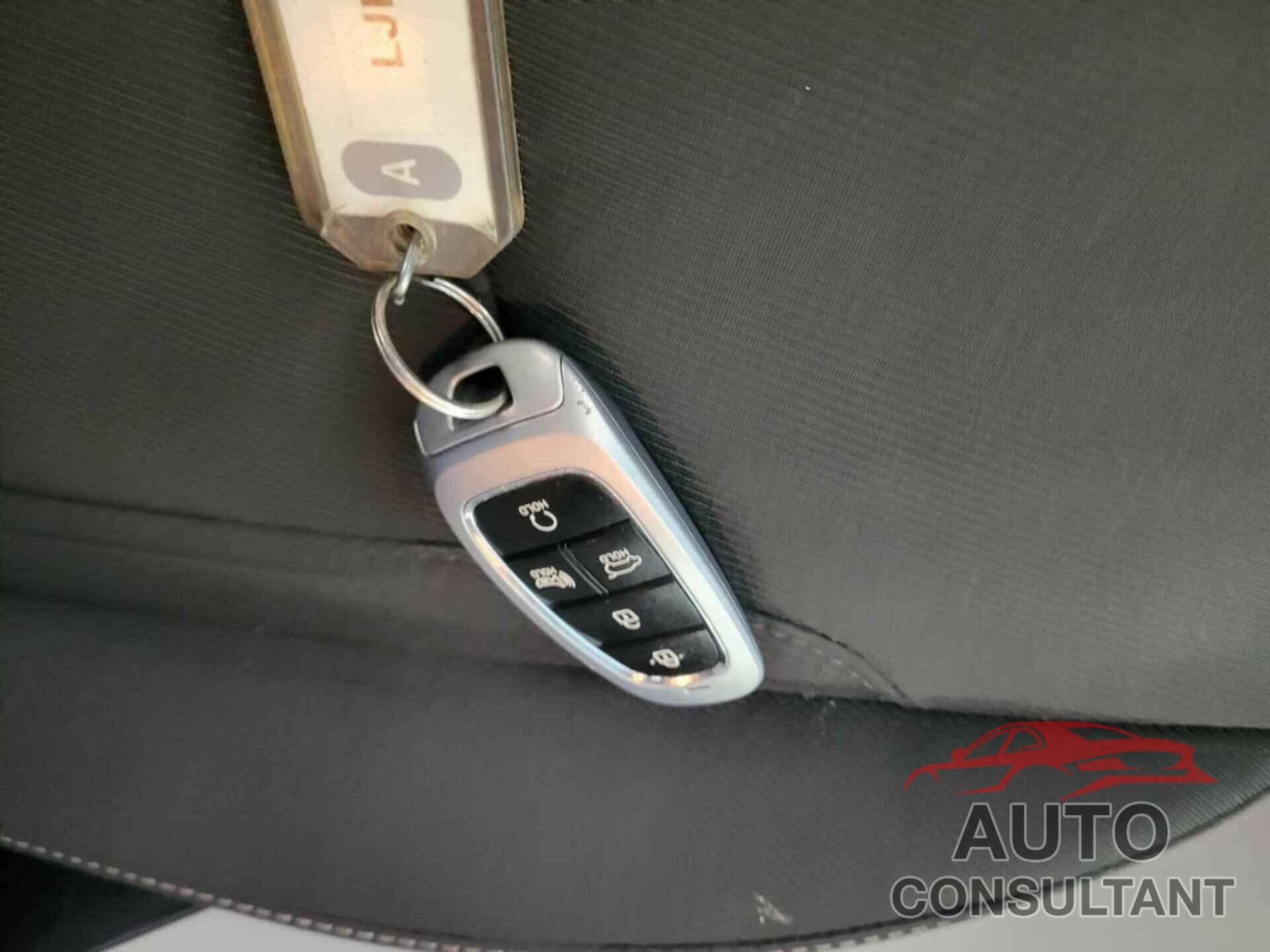 HYUNDAI TUCSON 2024 - 5NMJBCDE2RH383460