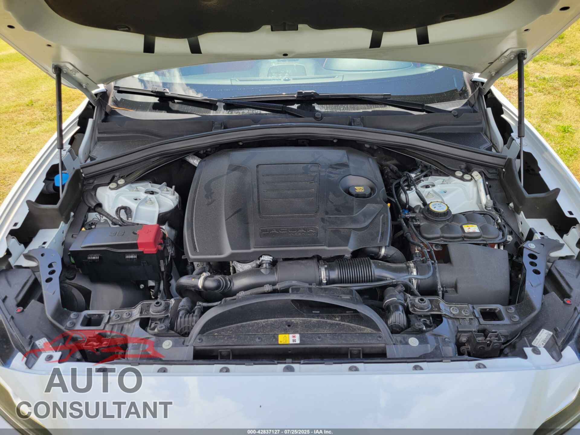 JAGUAR F-PACE 2020 - SADCP2FX4LA616988