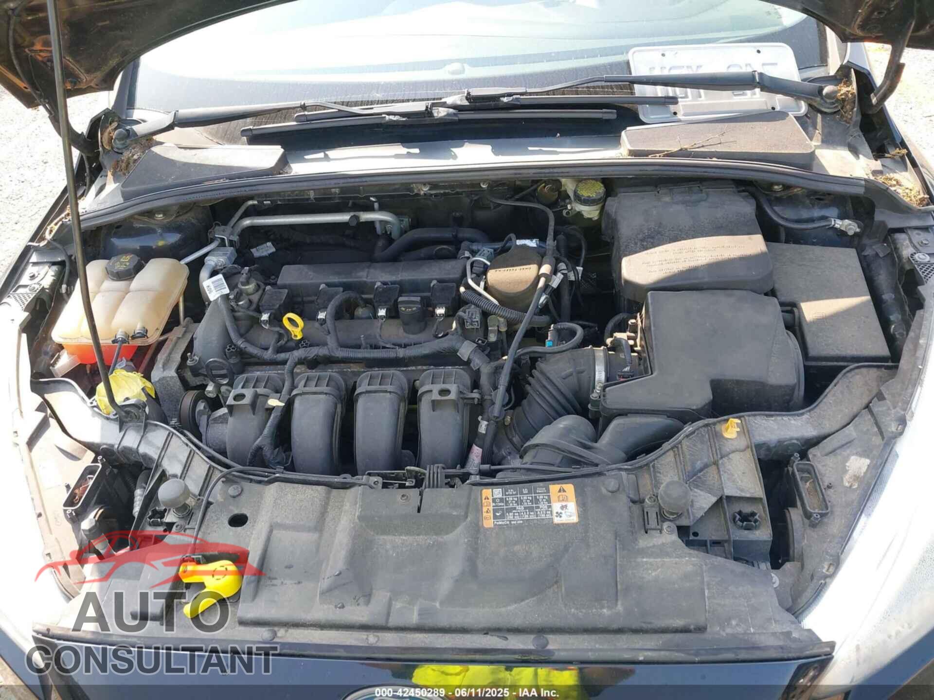 FORD FOCUS 2016 - 1FADP3F25GL258603