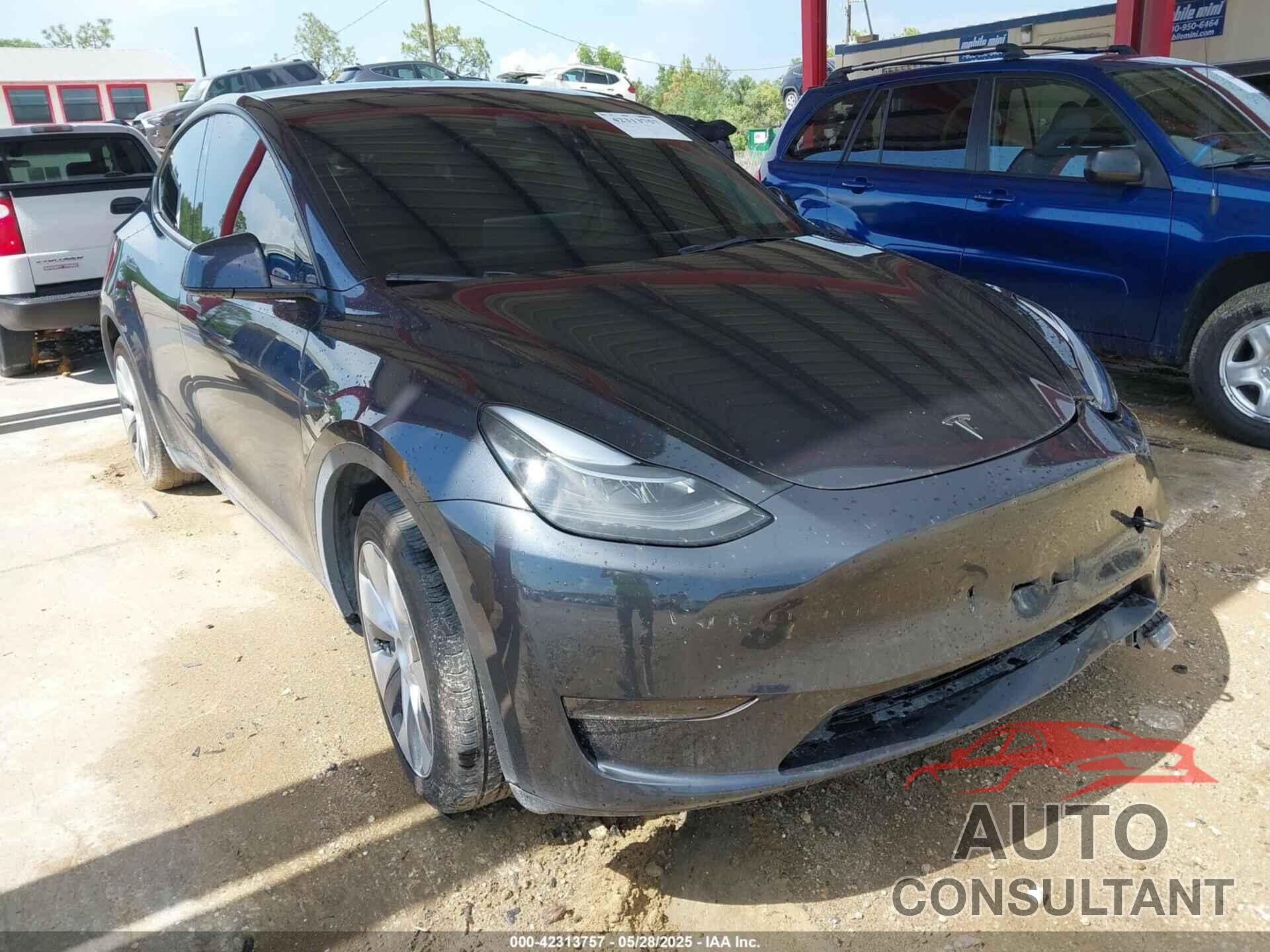 TESLA MODEL Y 2024 - 7SAYGDED6RF054342