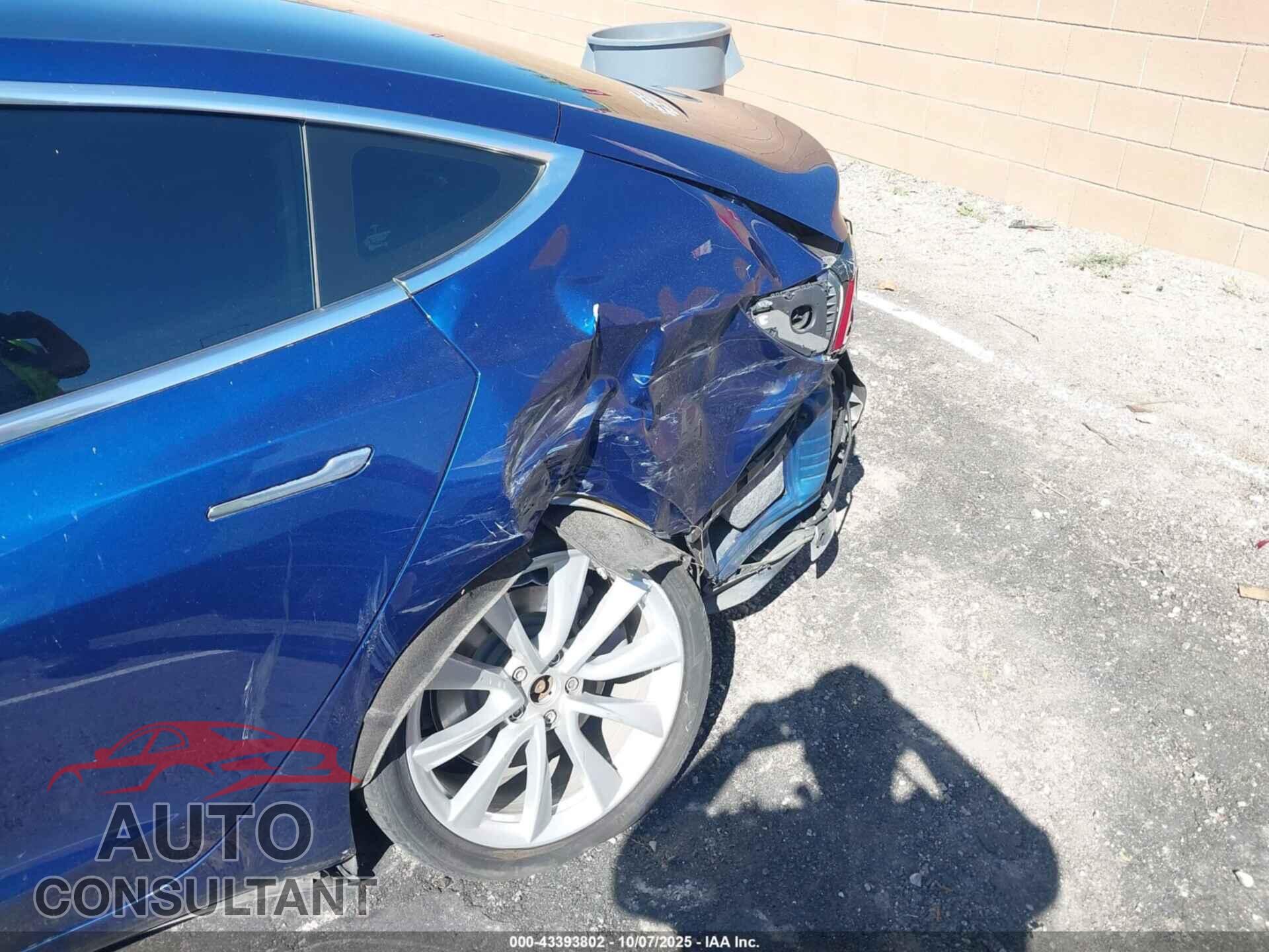 TESLA MODEL 3 2019 - 5YJ3E1EB7KF365598