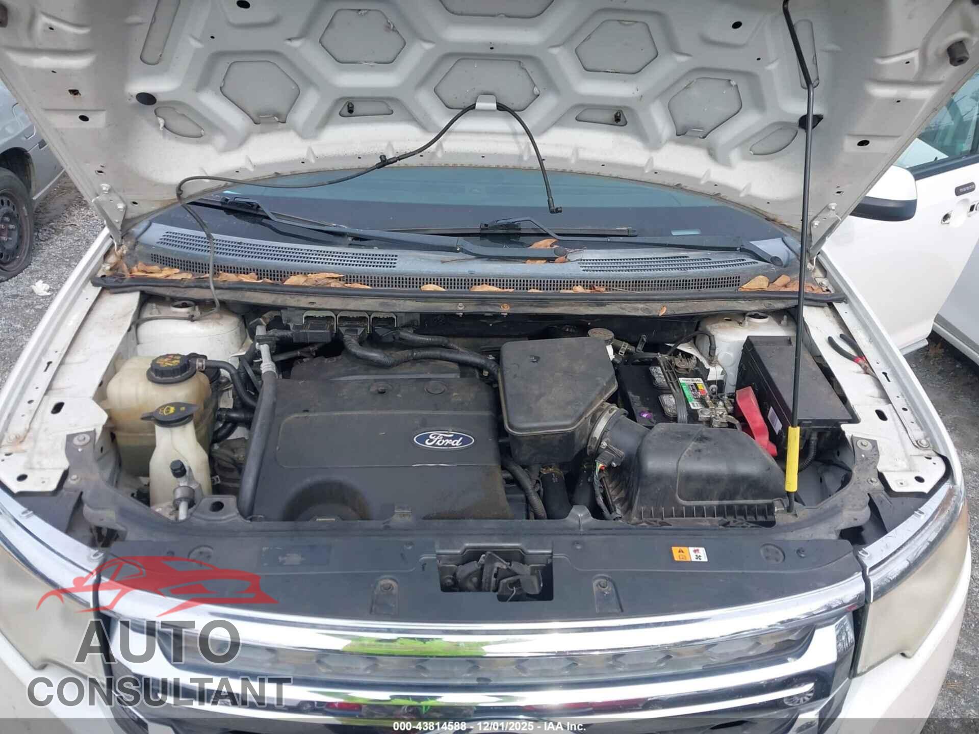 FORD EDGE 2011 - 2FMDK3JC8BBB06506