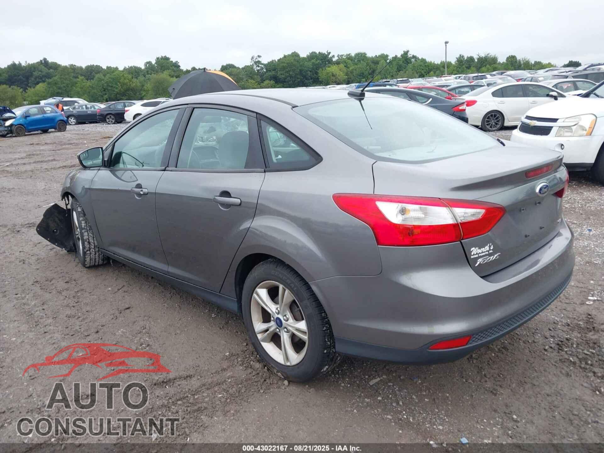 FORD FOCUS 2014 - 1FADP3F23EL445934