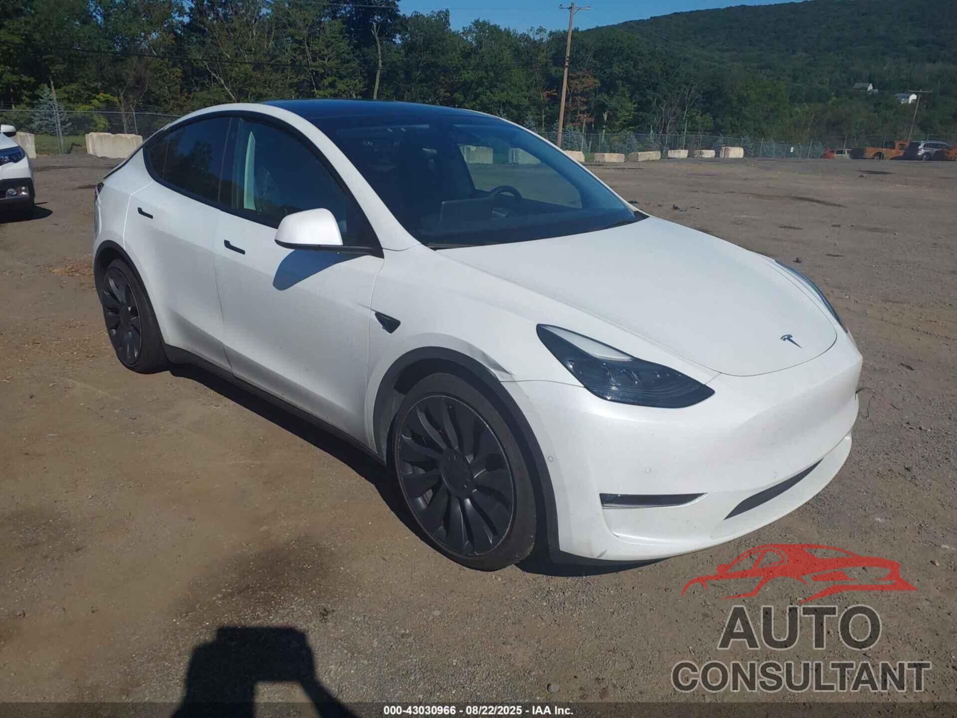 TESLA MODEL Y 2022 - 7SAYGDEF2NF519002