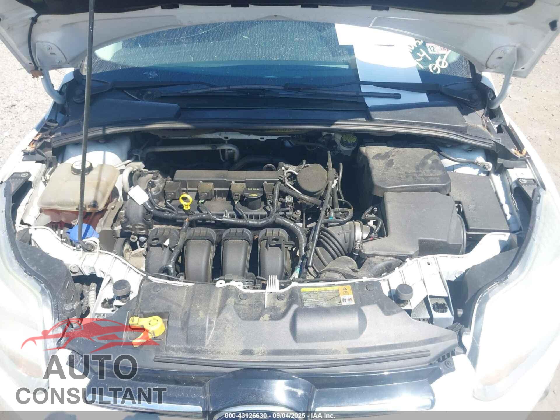 FORD FOCUS 2012 - 1FAHP3M23CL404012