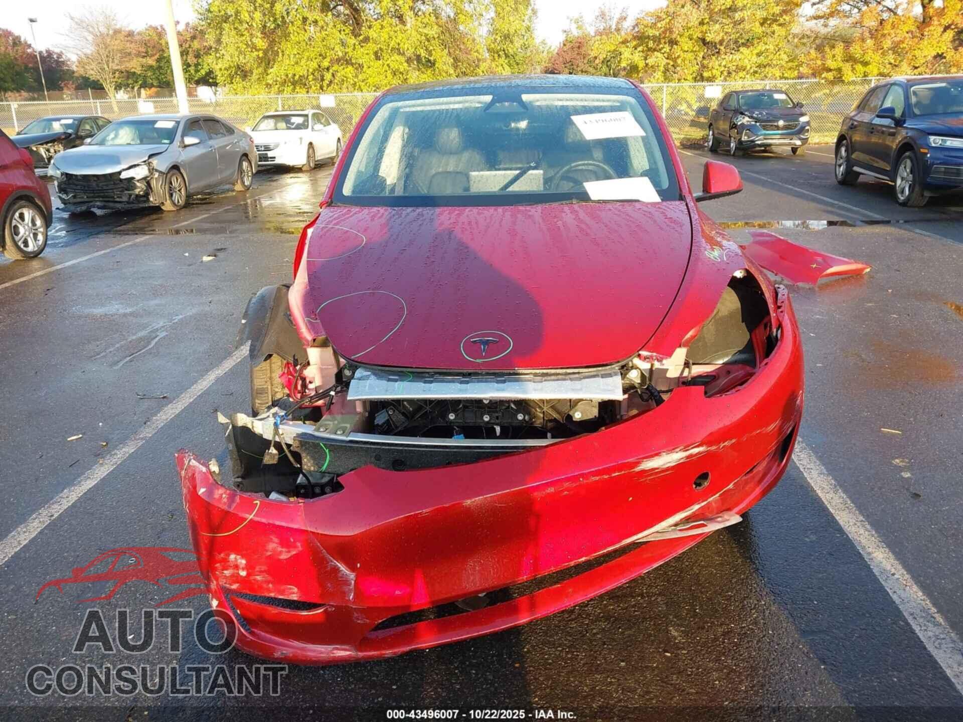 TESLA MODEL Y 2024 - 7SAYGDEE4RF157669