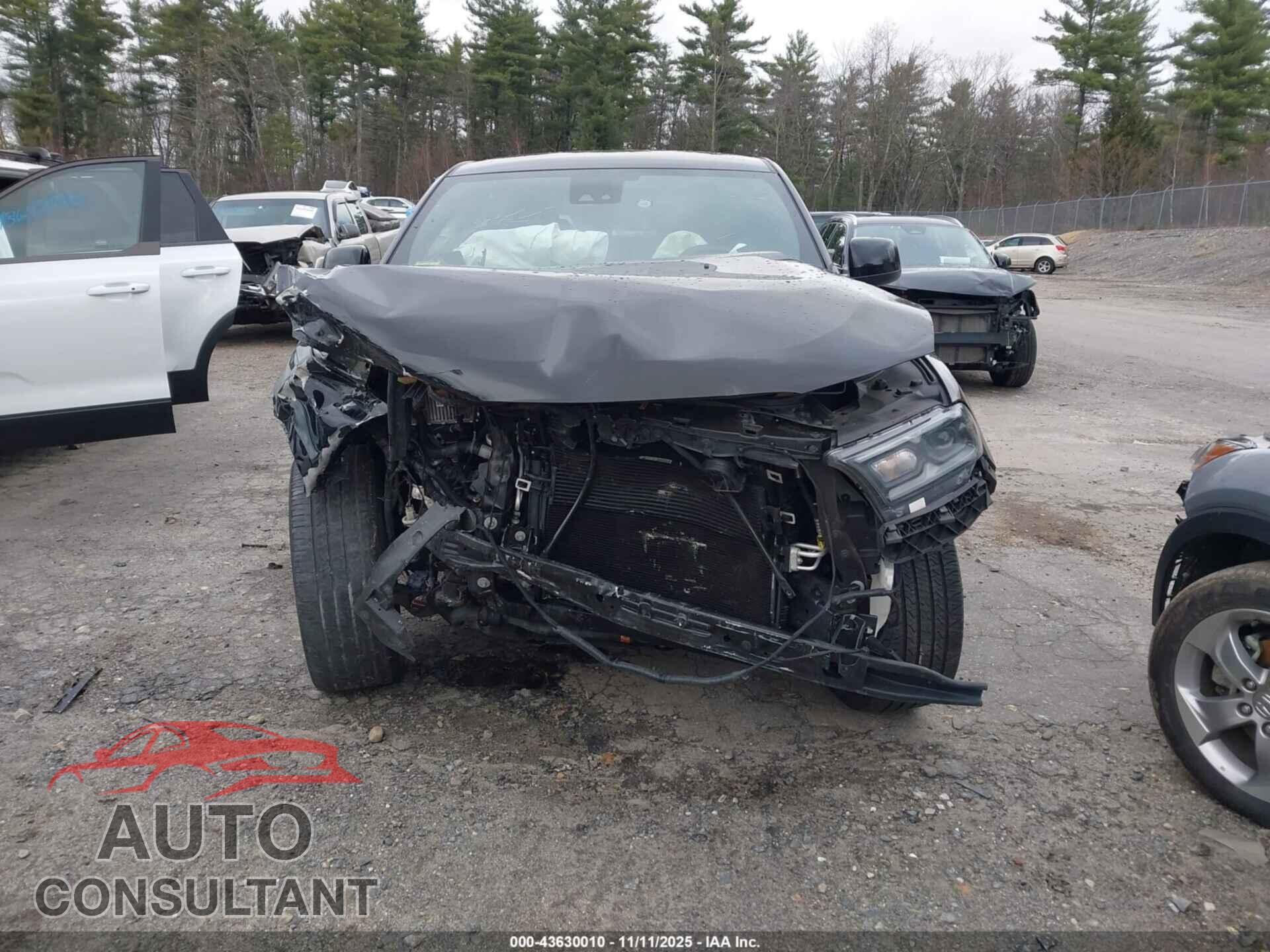 DODGE DURANGO 2023 - 1C4RDJDG4PC556331