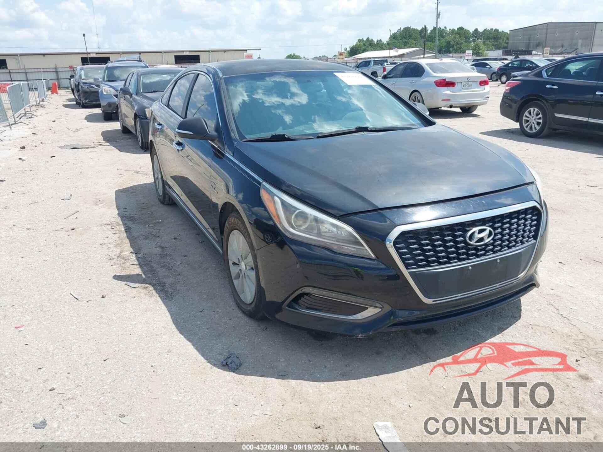 HYUNDAI SONATA HYBRID 2016 - KMHE24L1XGA019120