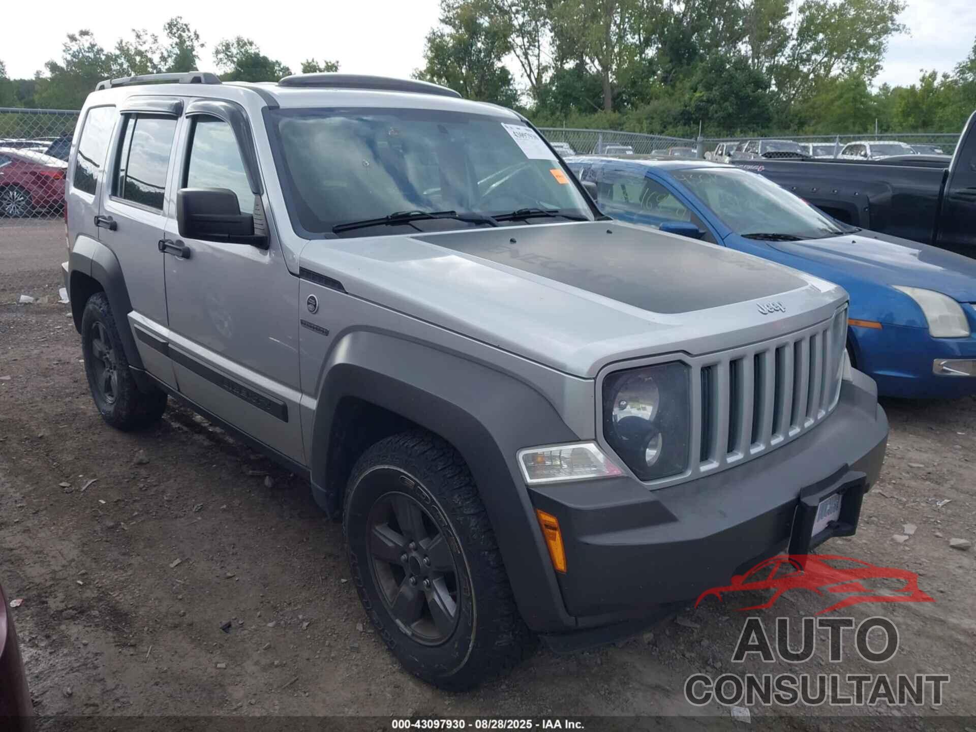 JEEP LIBERTY 2011 - 1J4PN3GK9BW502654