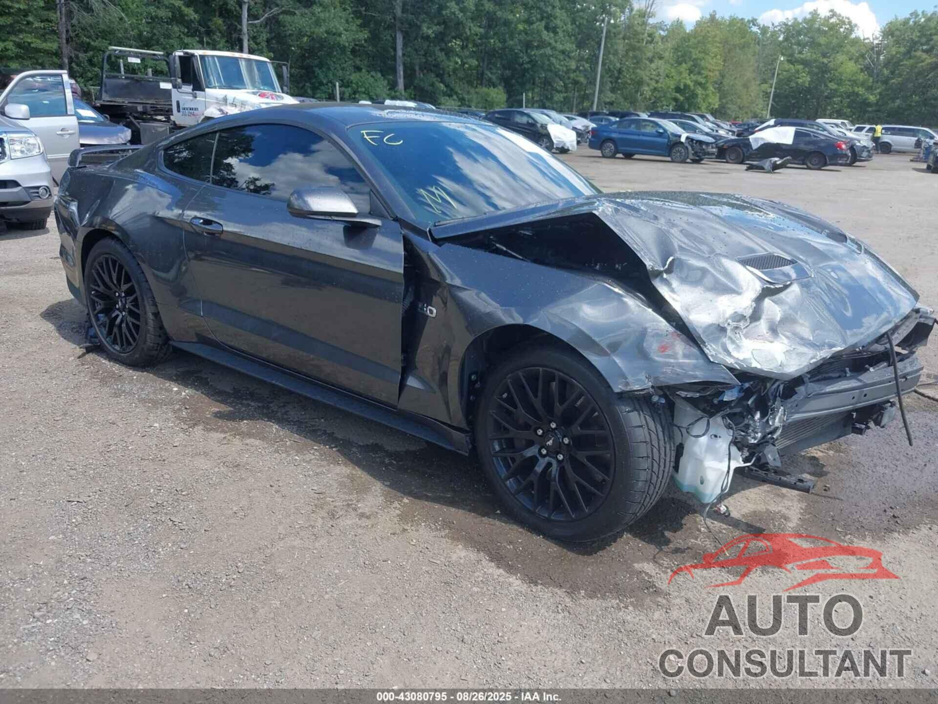 FORD MUSTANG 2020 - 1FA6P8CF2L5169342
