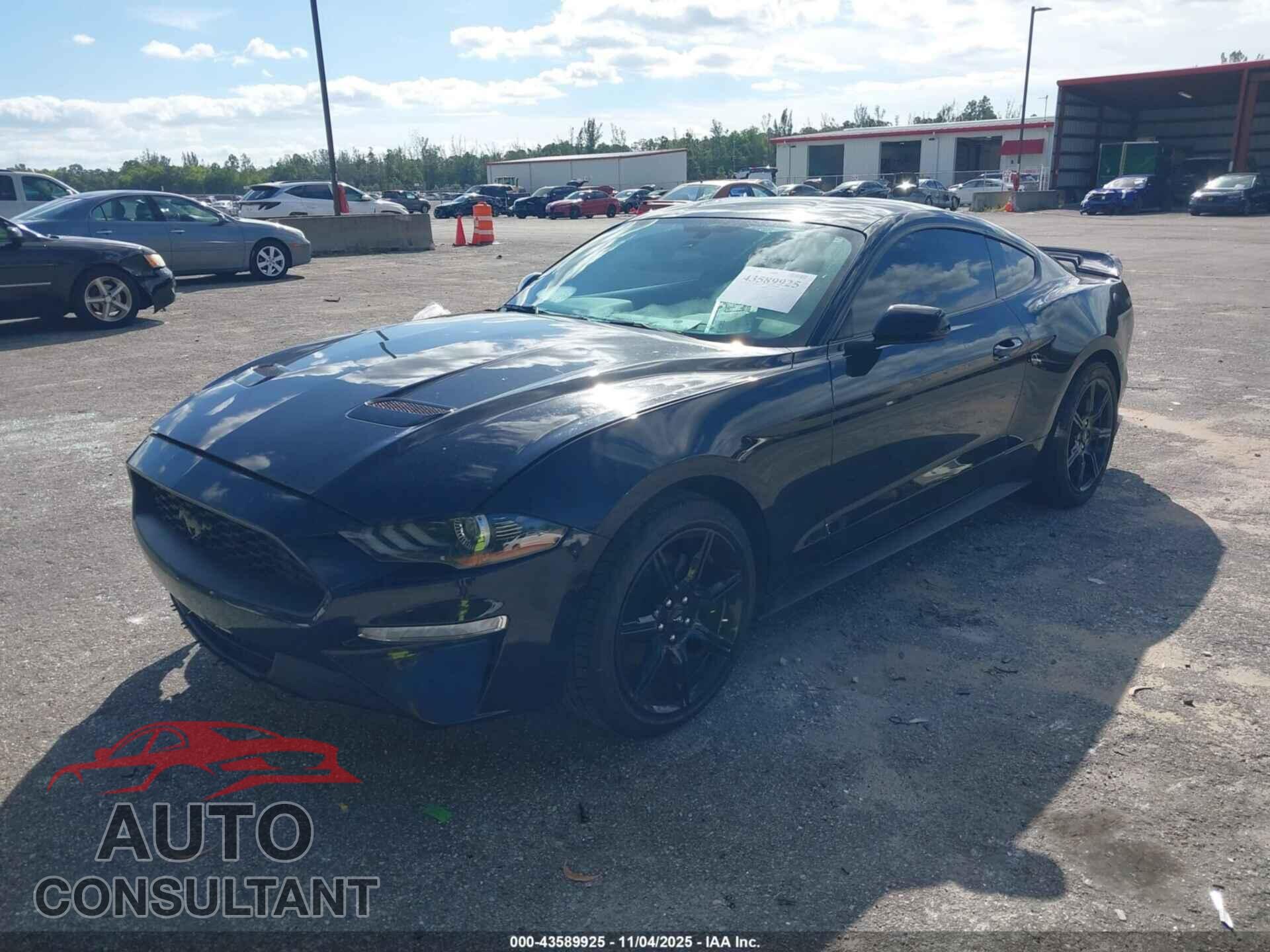 FORD MUSTANG 2019 - 1FA6P8TH5K5129028