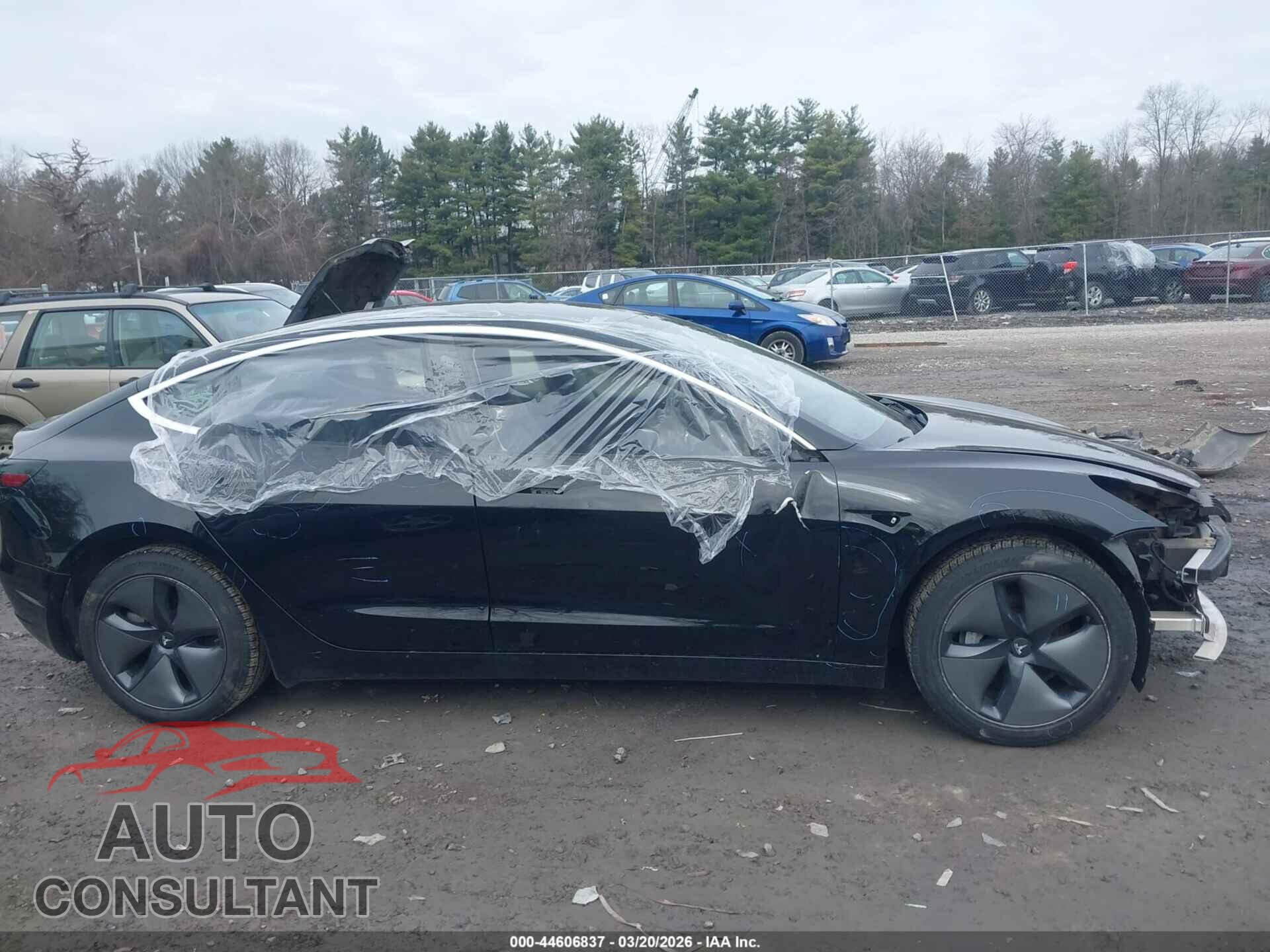 TESLA MODEL 3 2019 - 5YJ3E1EA2KF397785