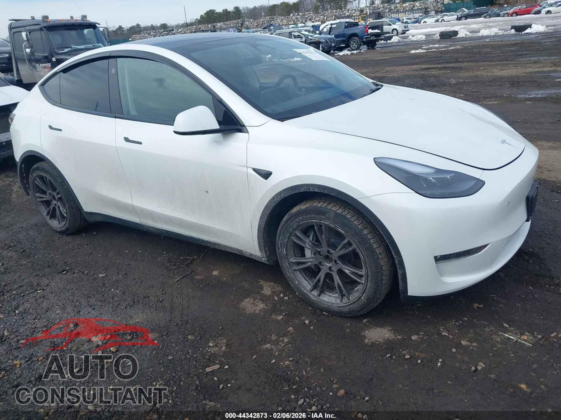 TESLA MODEL Y 2024 - 7SAYGAEE1RF201190