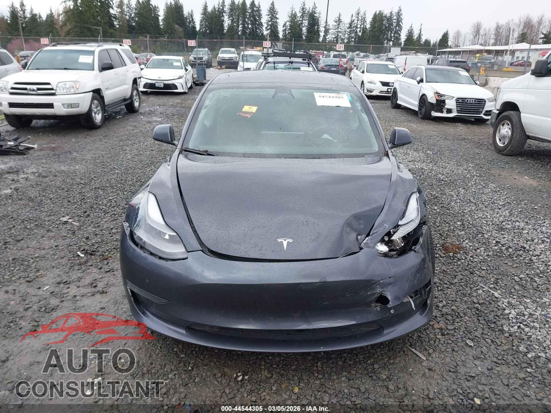 TESLA MODEL 3 2021 - 5YJ3E1EB0MF019816